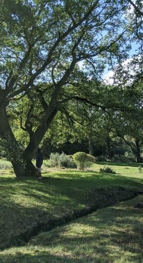 401 Texas Sky Dr, Georgetown, TX 78628