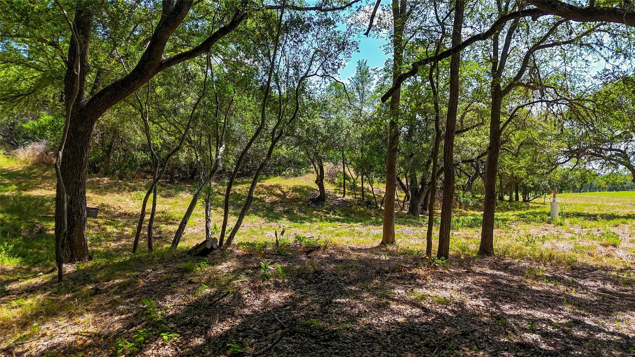 420 Blanco River Ranch Rd, San Marcos, TX 78666