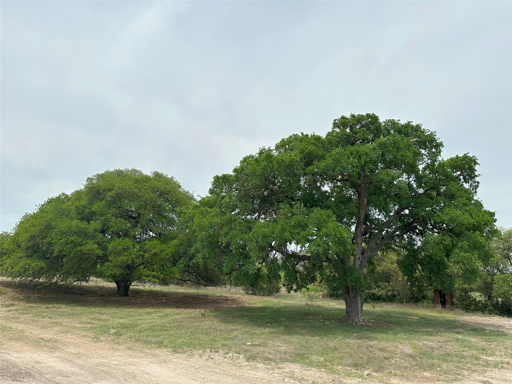 tbd County Road 330, Bertram, TX 78605