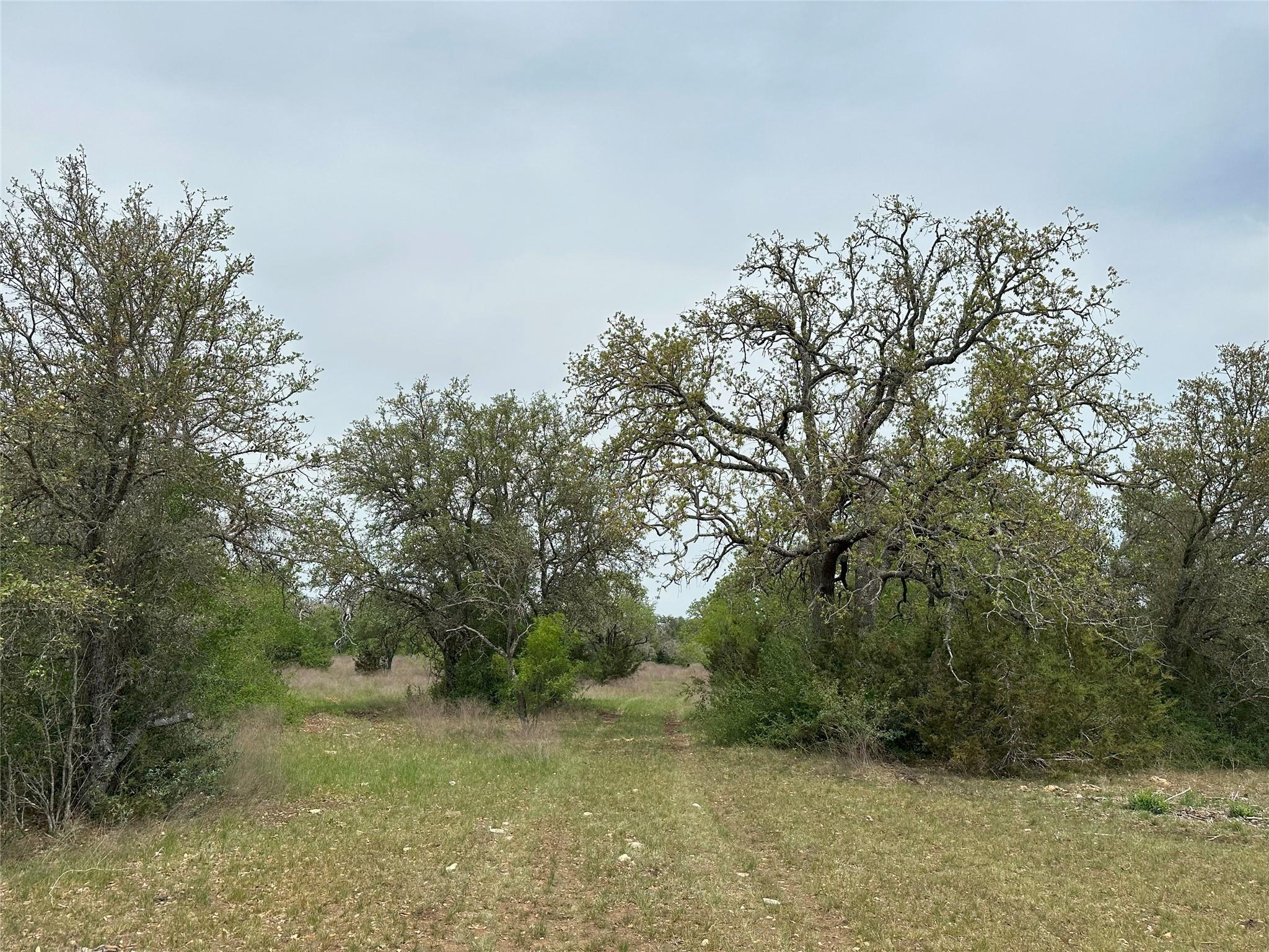 tbd County Road 330, Bertram, TX 78605