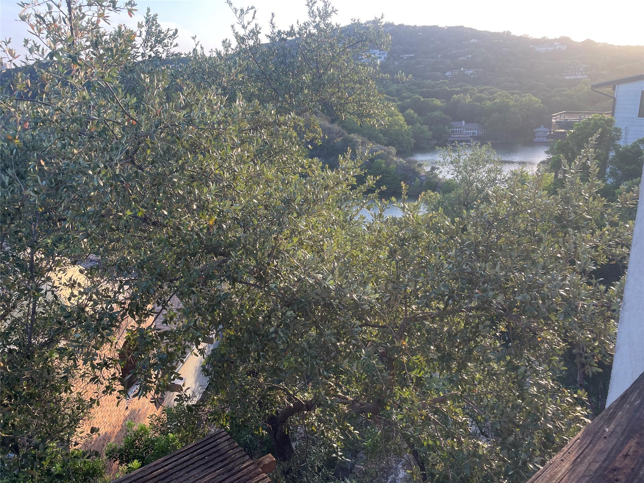 1712 Lakeshore Dr # B, Austin, TX 78746