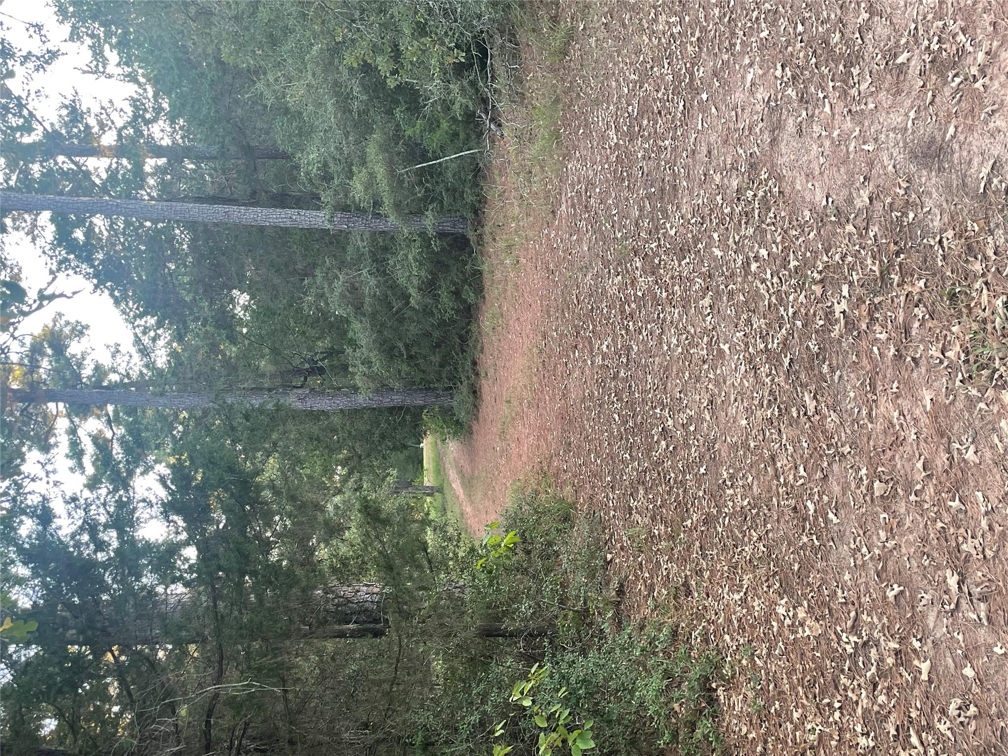 360 Copeland Hill Rd, Smithville, TX 78957