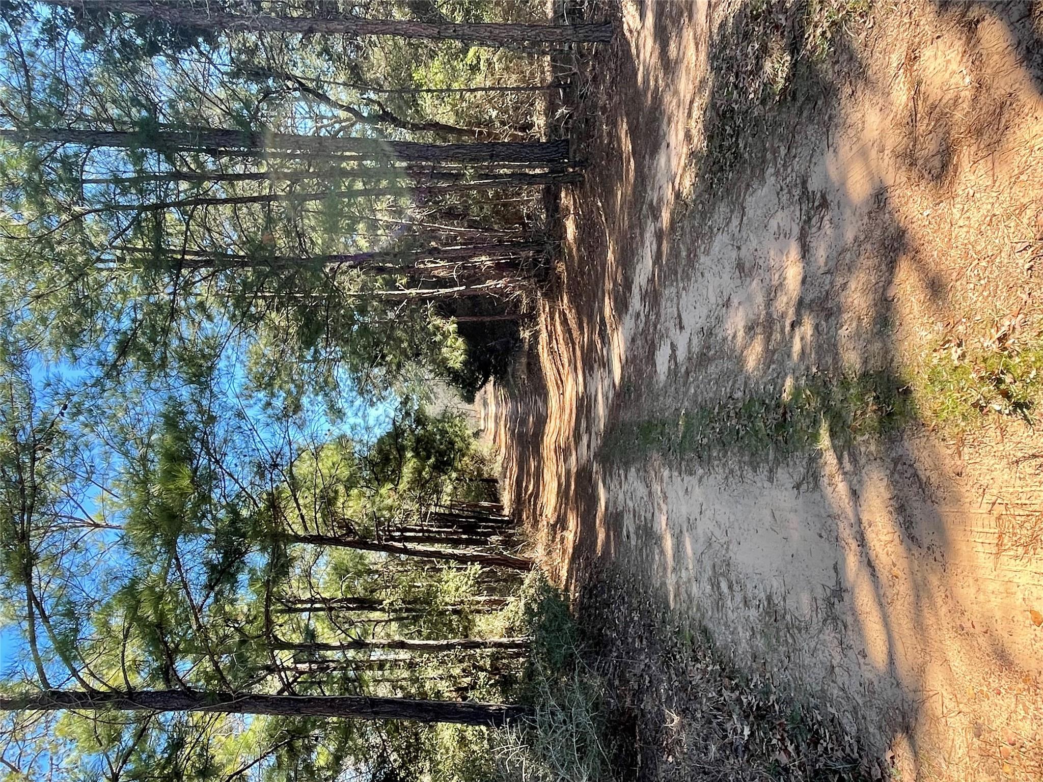 360 Copeland Hill Rd, Smithville, TX 78957