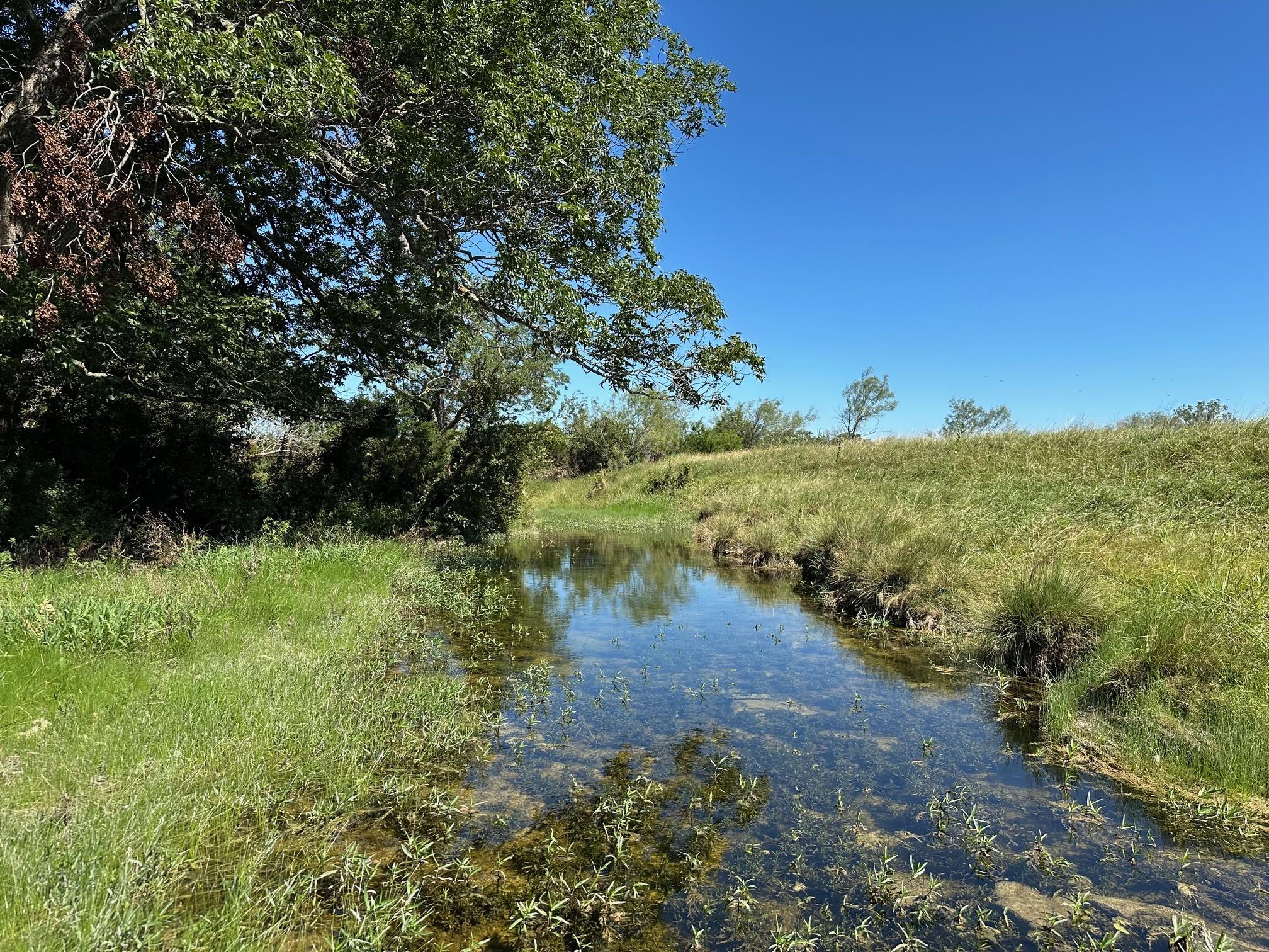 6248 County Road 330, Bertram, TX 78605