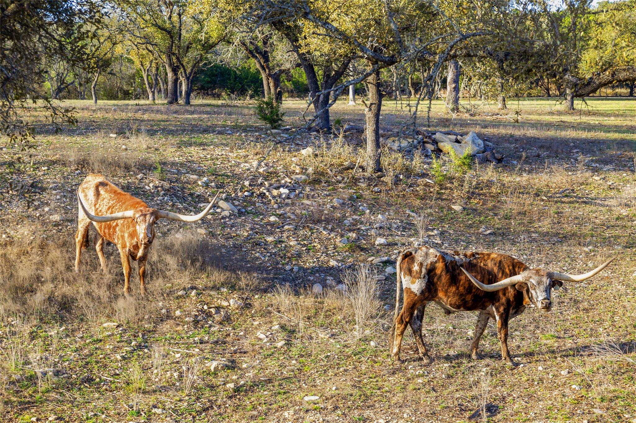 3516 Mount Sharp Rd # 23, Wimberley, TX 78676