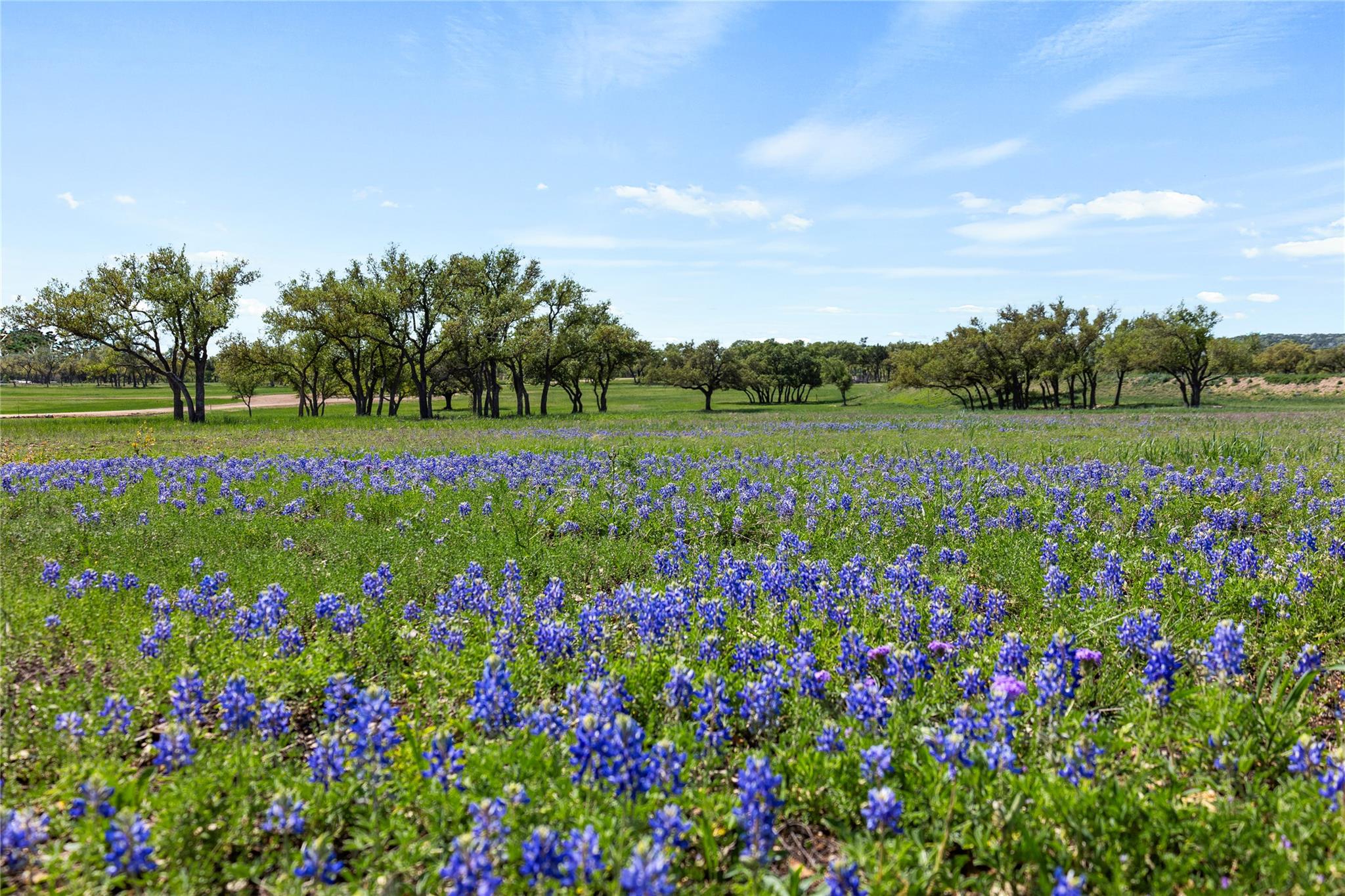3516 Mount Sharp Rd # 23, Wimberley, TX 78676