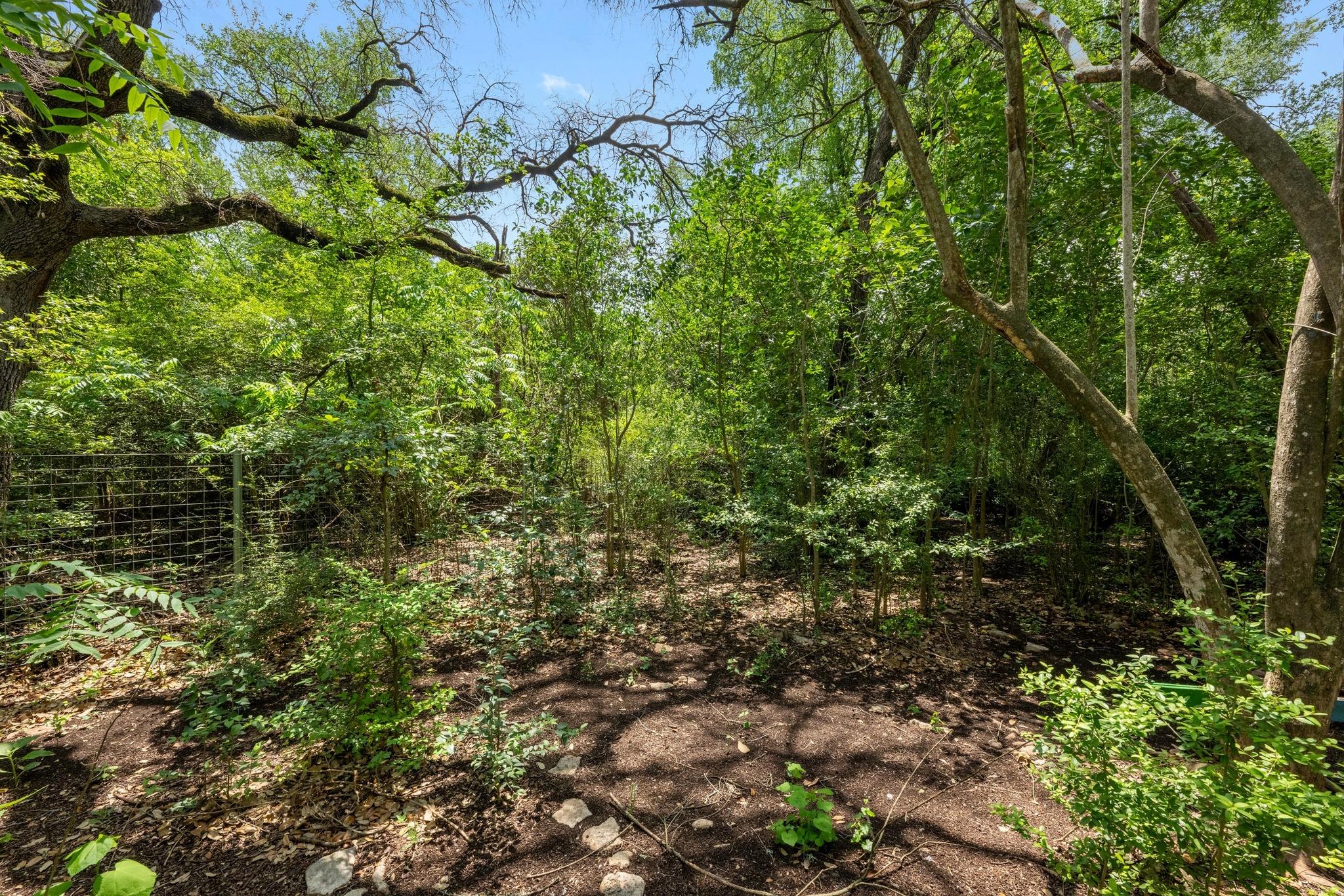 1511 Terrapin Ct # B, Austin, TX 78746