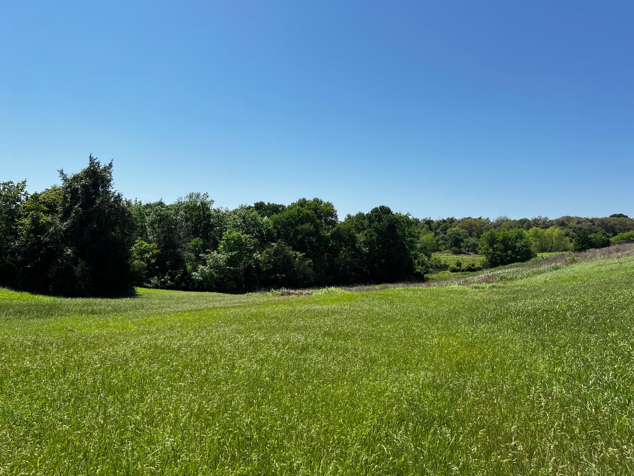 270 Timberlake Dr, La Grange, TX 78945