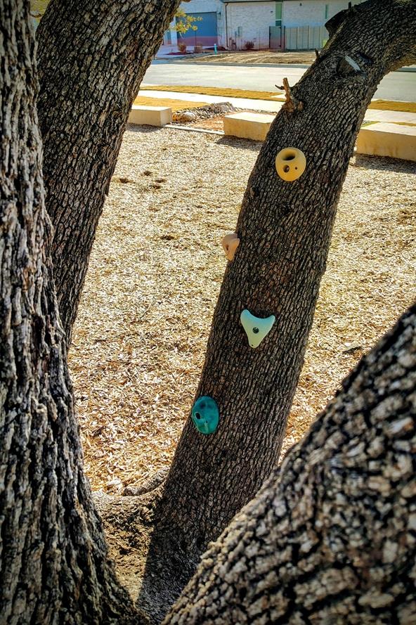 1825 Spring Mountain Cv, Georgetown, TX 78628