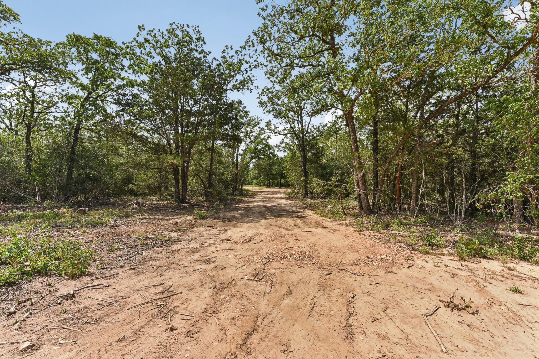 160 Northside Ln, Cedar Creek, TX 78612