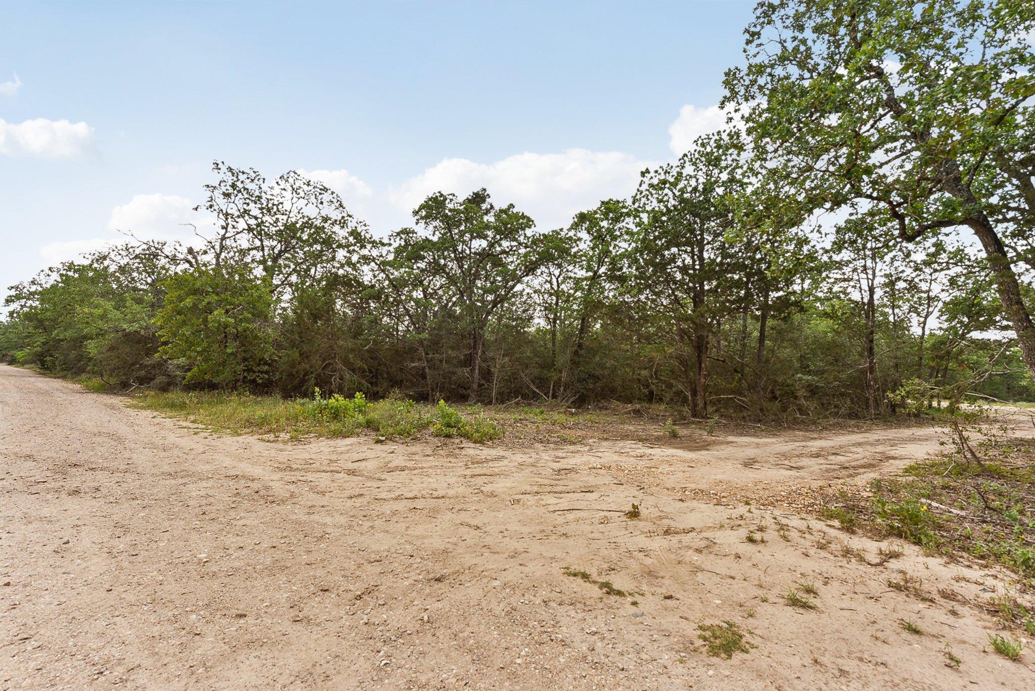 160 Northside Ln, Cedar Creek, TX 78612