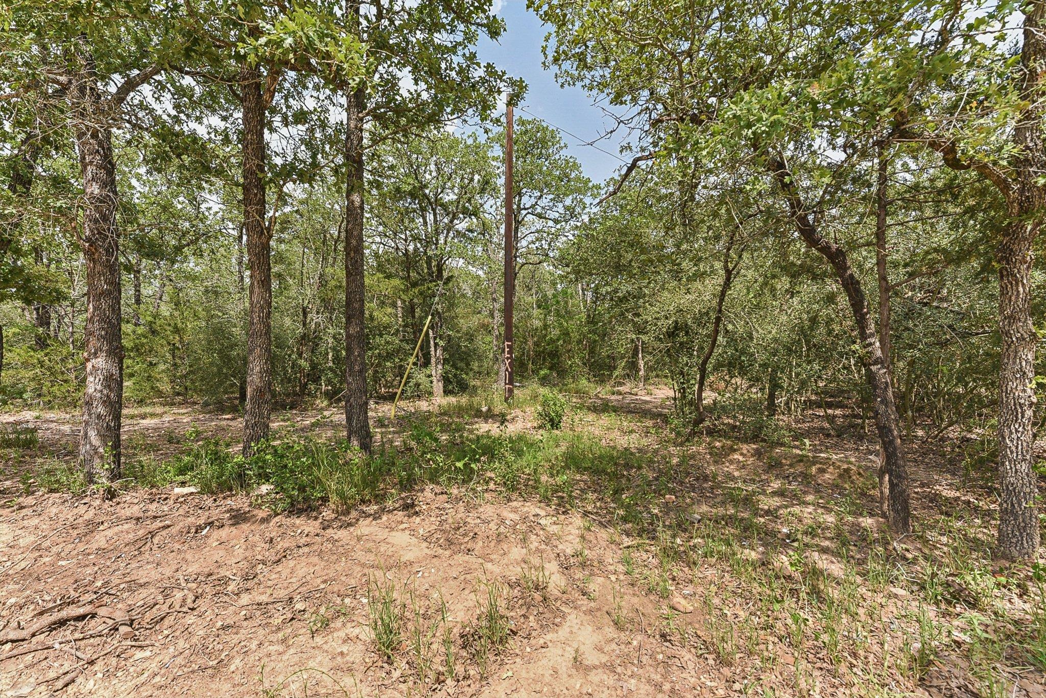 160 Northside Ln, Cedar Creek, TX 78612