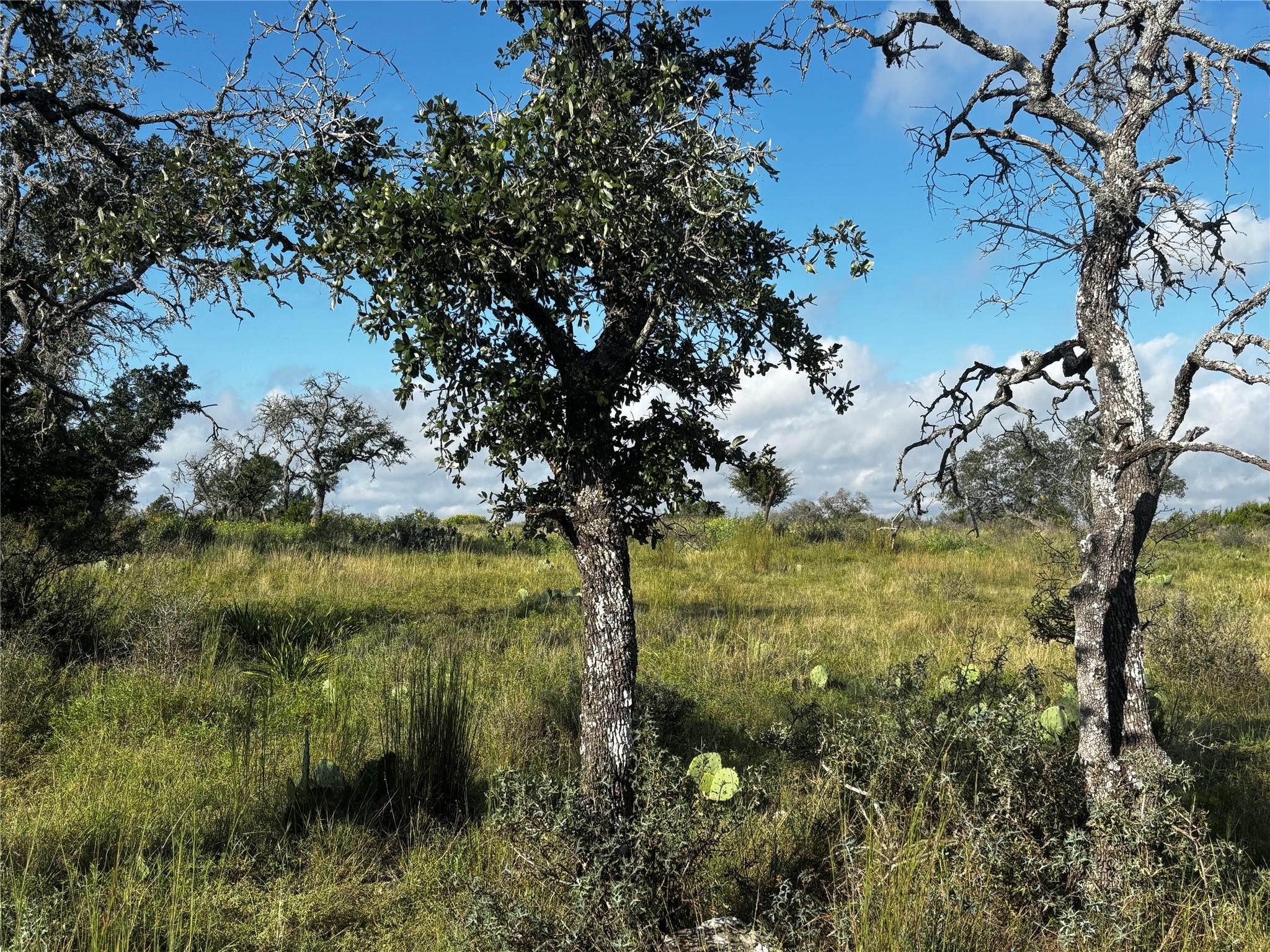 Lot #8 , Calle Del Sol Dr, Fredericksburg, TX 78624