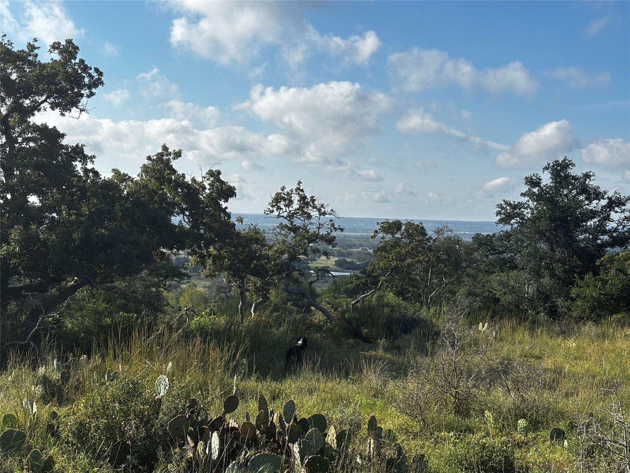 Lot #8 , Calle Del Sol Dr, Fredericksburg, TX 78624