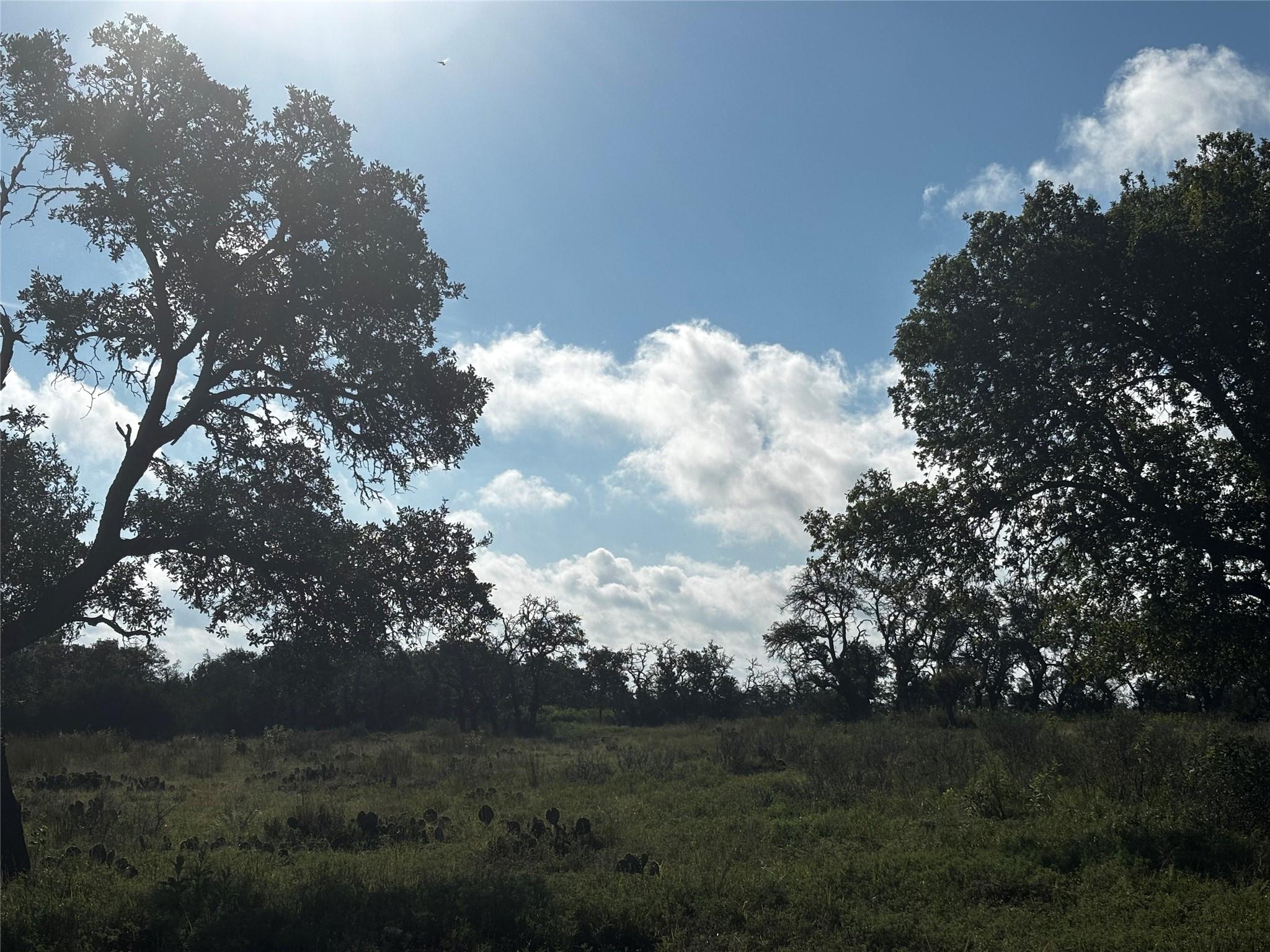 Lot #8 , Calle Del Sol Dr, Fredericksburg, TX 78624