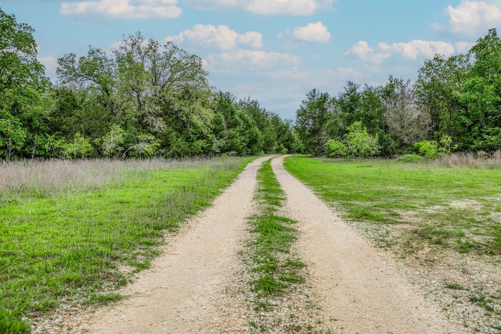TBD (349.84 Acres) County Road 125, Ledbetter, TX 78946