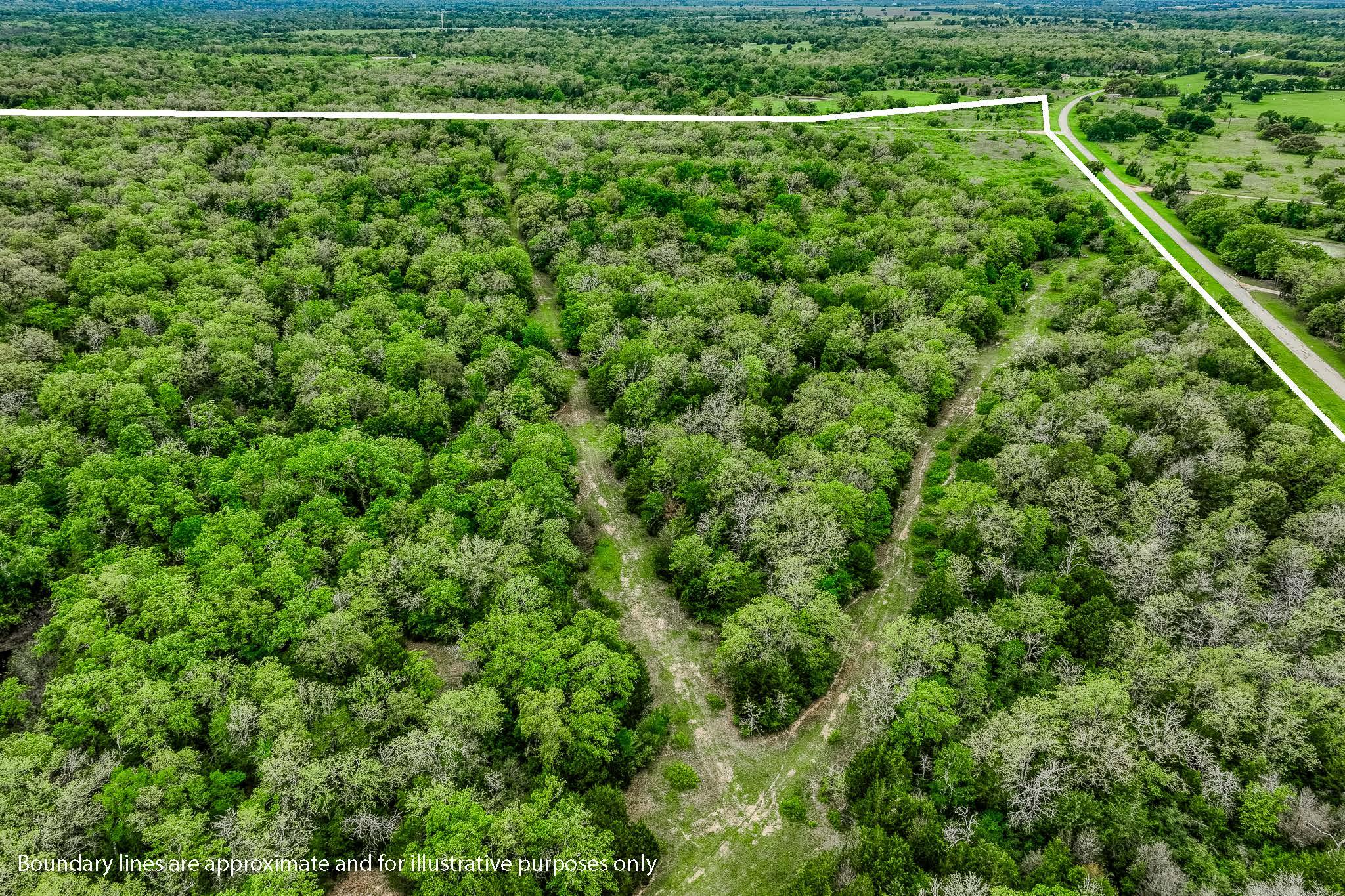 TBD (349.84 Acres) County Road 125, Ledbetter, TX 78946