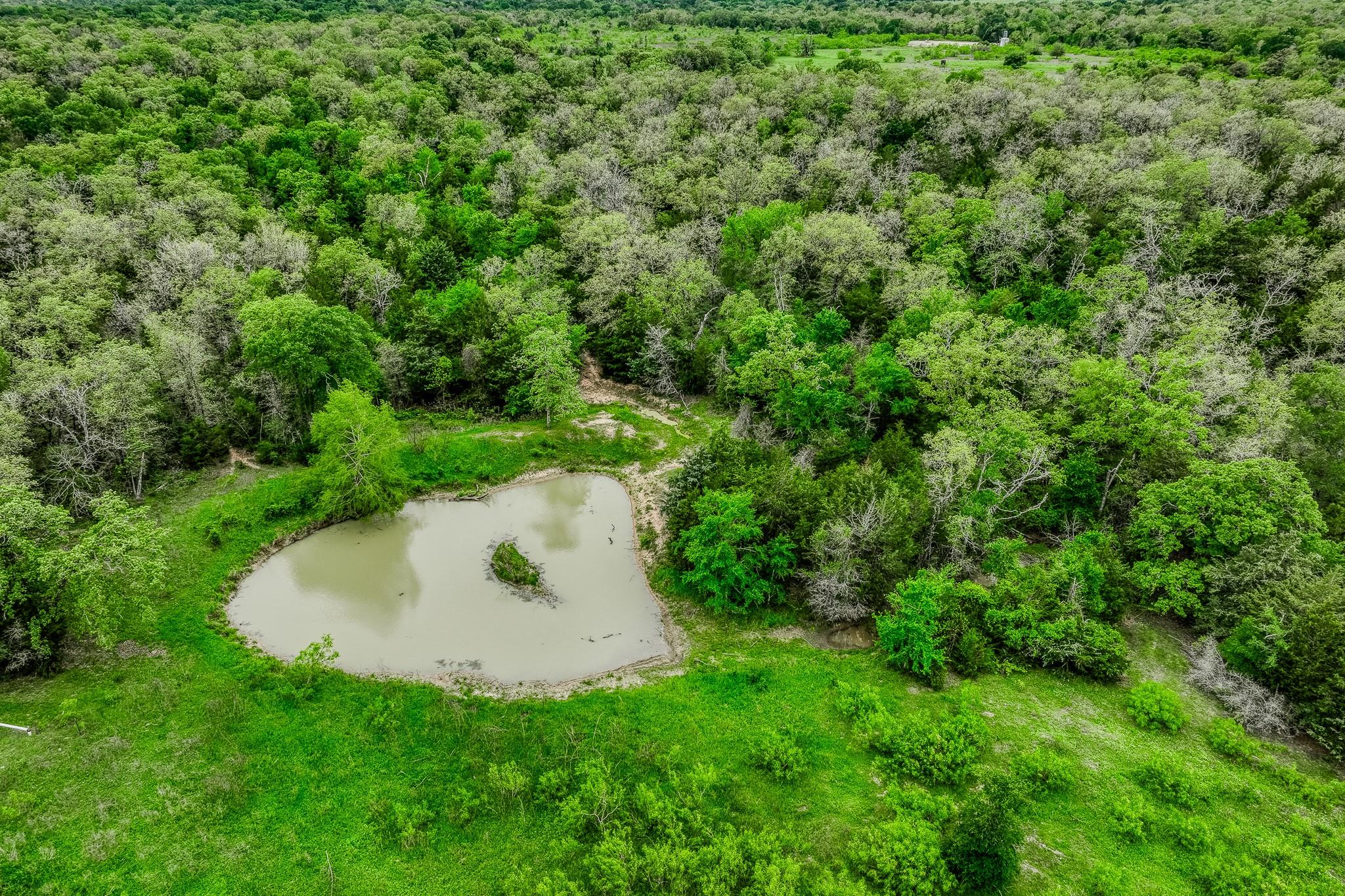 TBD (349.84 Acres) County Road 125, Ledbetter, TX 78946