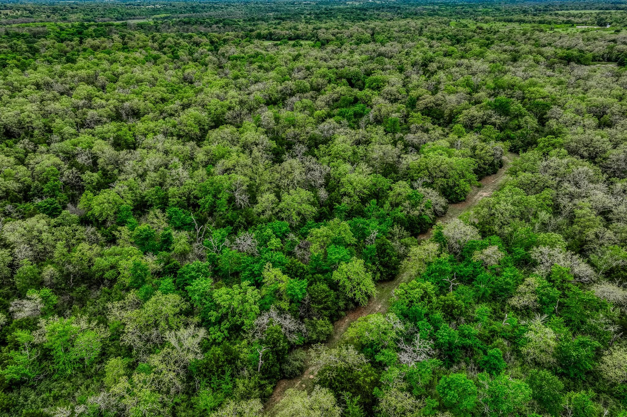 TBD (349.84 Acres) County Road 125, Ledbetter, TX 78946