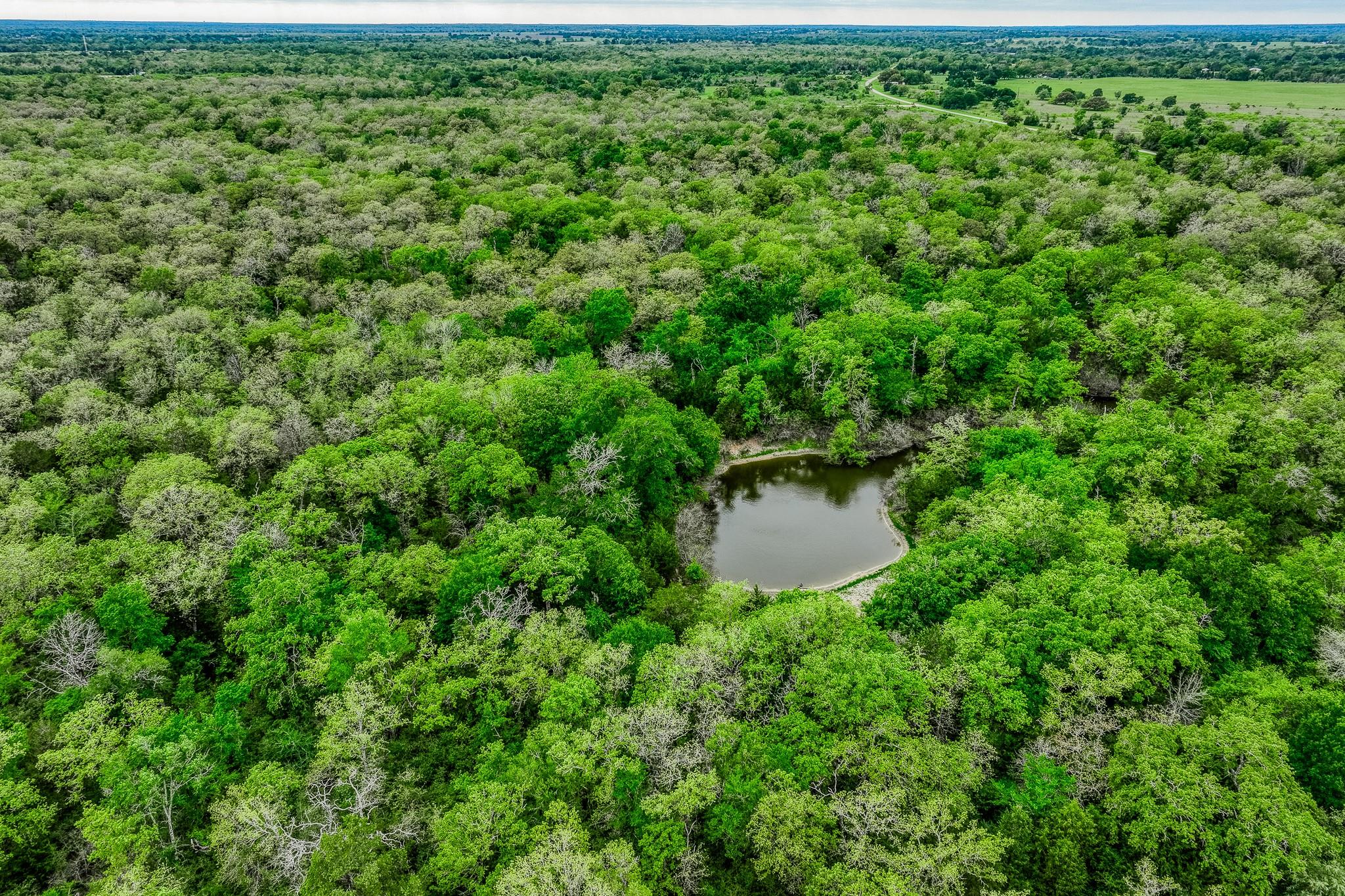 TBD (349.84 Acres) County Road 125, Ledbetter, TX 78946
