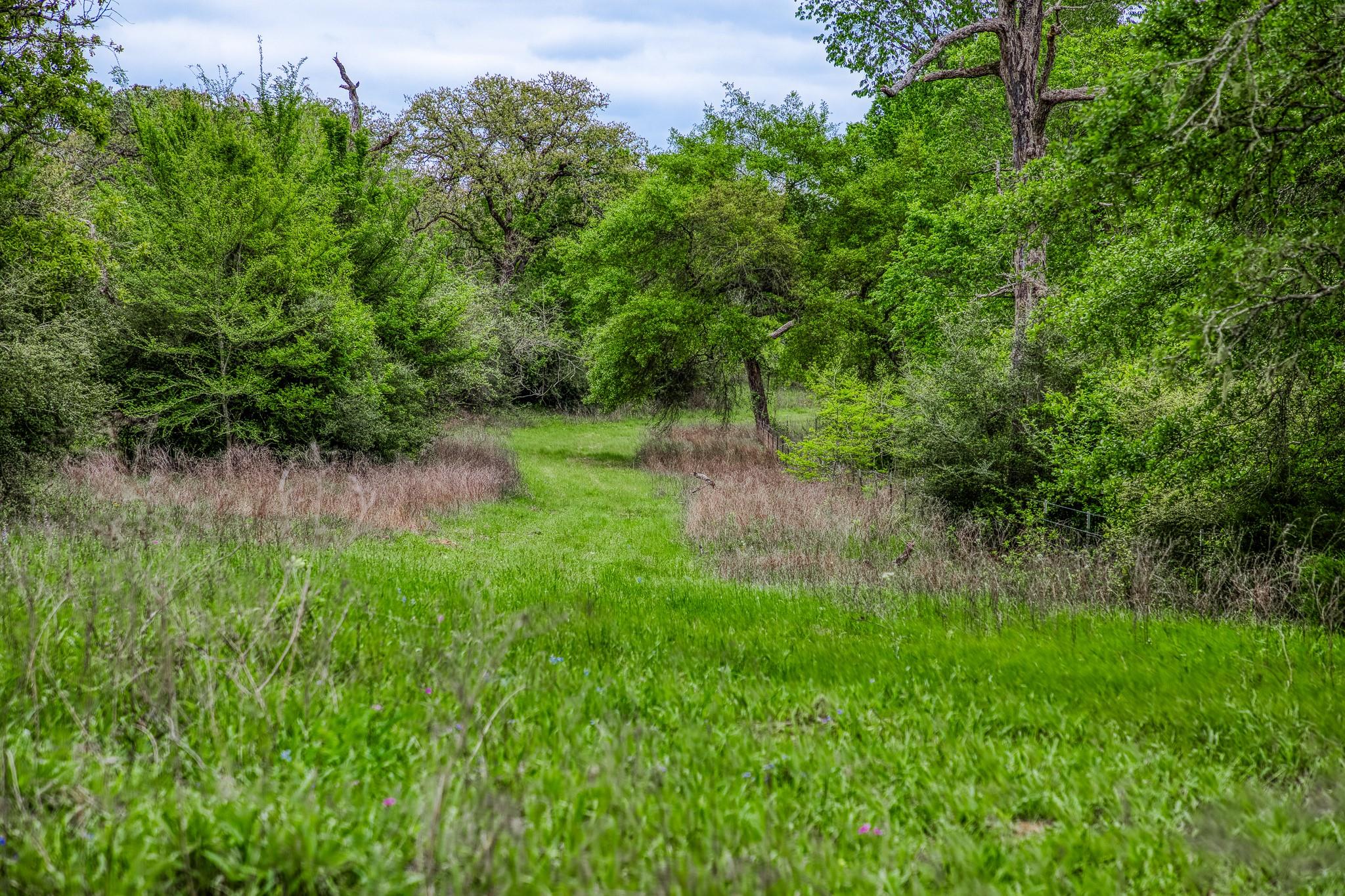 TBD (349.84 Acres) County Road 125, Ledbetter, TX 78946