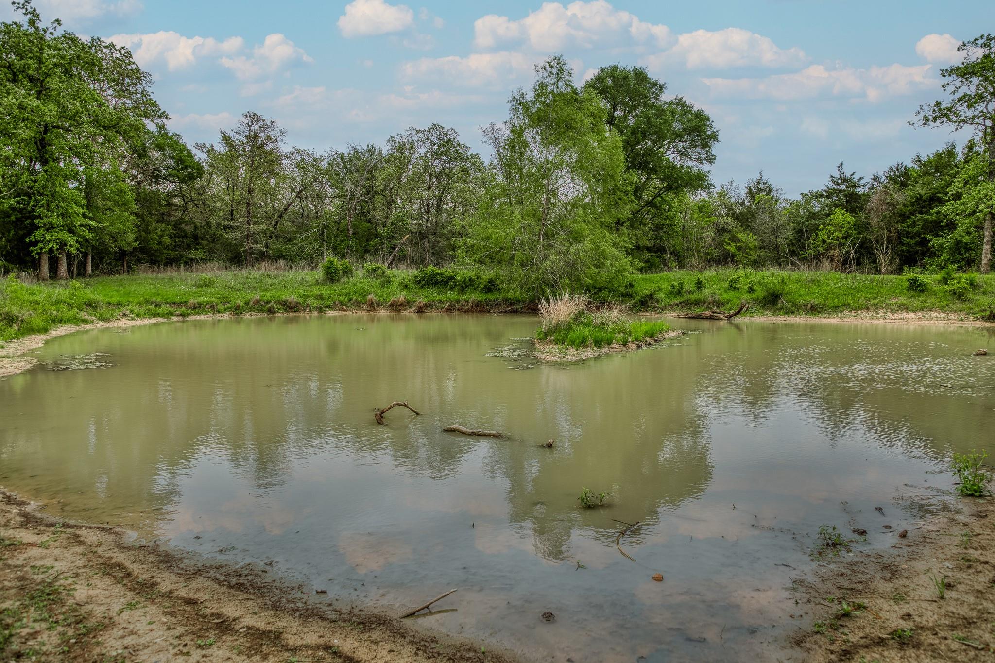 TBD (349.84 Acres) County Road 125, Ledbetter, TX 78946