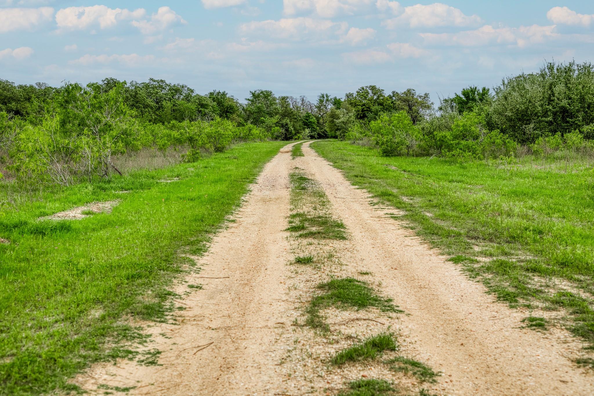 TBD (349.84 Acres) County Road 125, Ledbetter, TX 78946