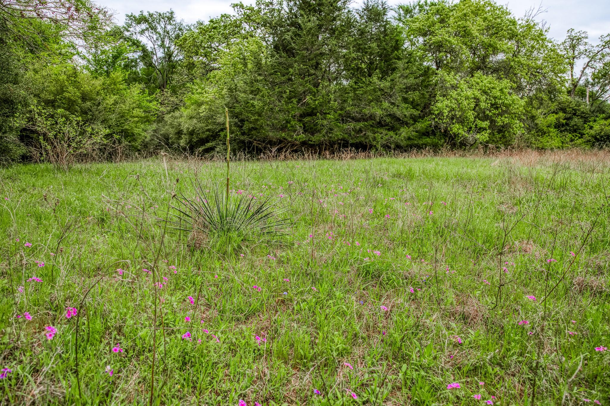 TBD (349.84 Acres) County Road 125, Ledbetter, TX 78946