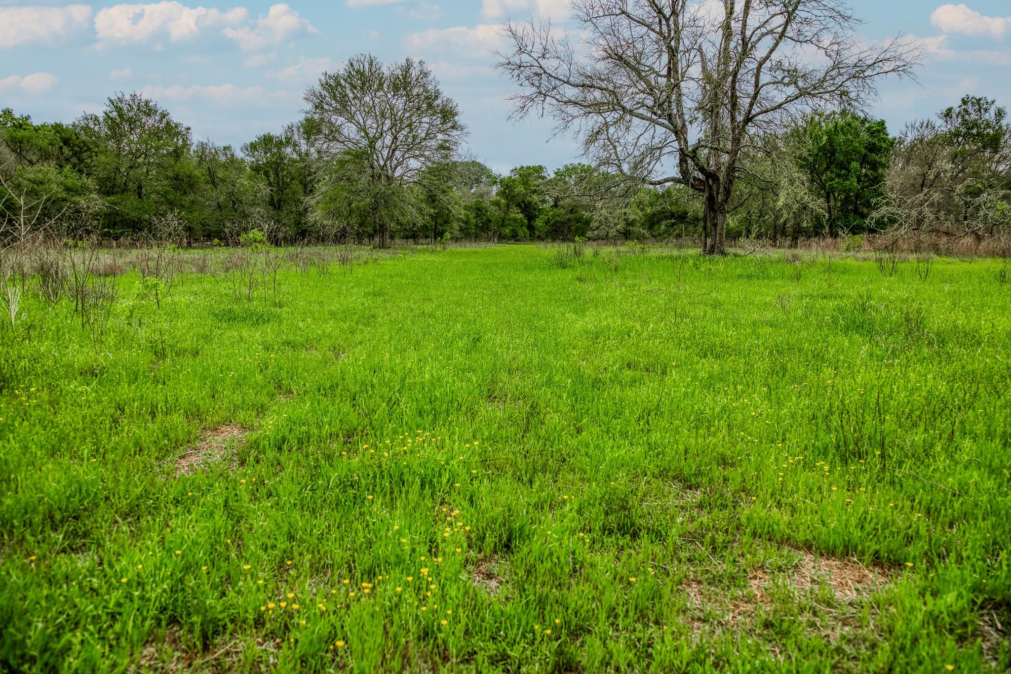TBD (349.84 Acres) County Road 125, Ledbetter, TX 78946