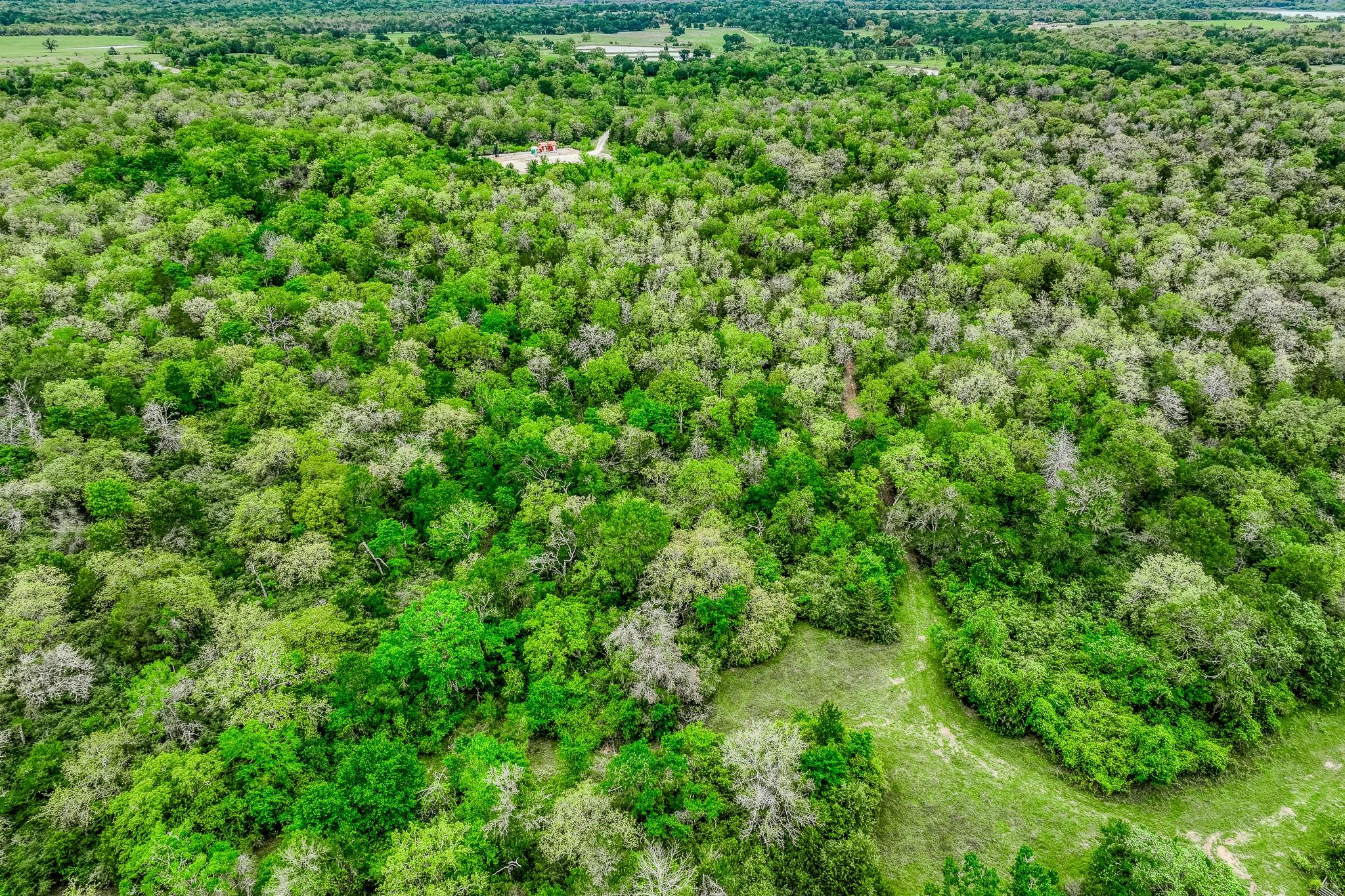 TBD (349.84 Acres) County Road 125, Ledbetter, TX 78946