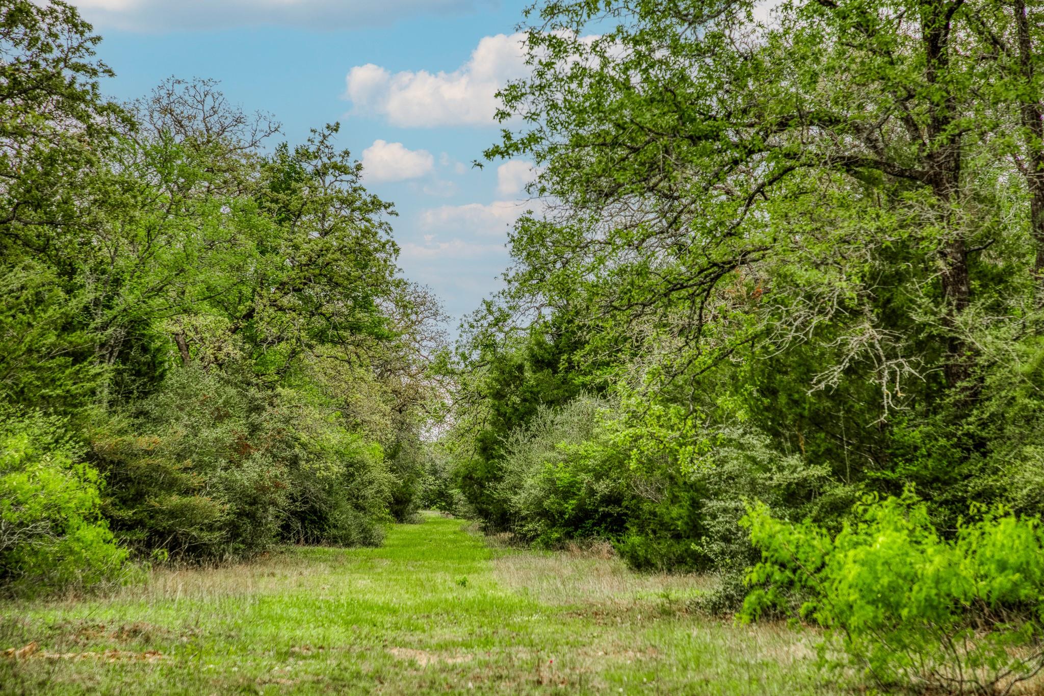 TBD (349.84 Acres) County Road 125, Ledbetter, TX 78946