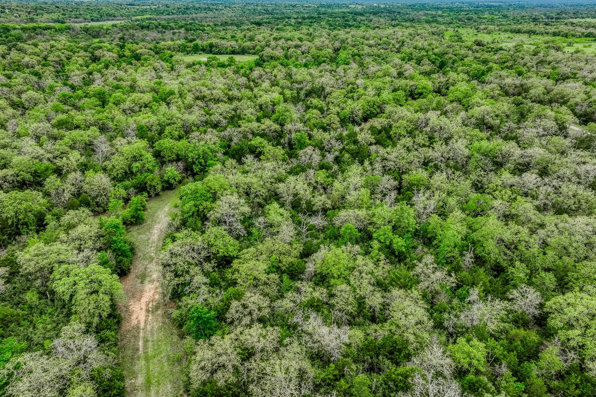 TBD (349.84 Acres) County Road 125, Ledbetter, TX 78946