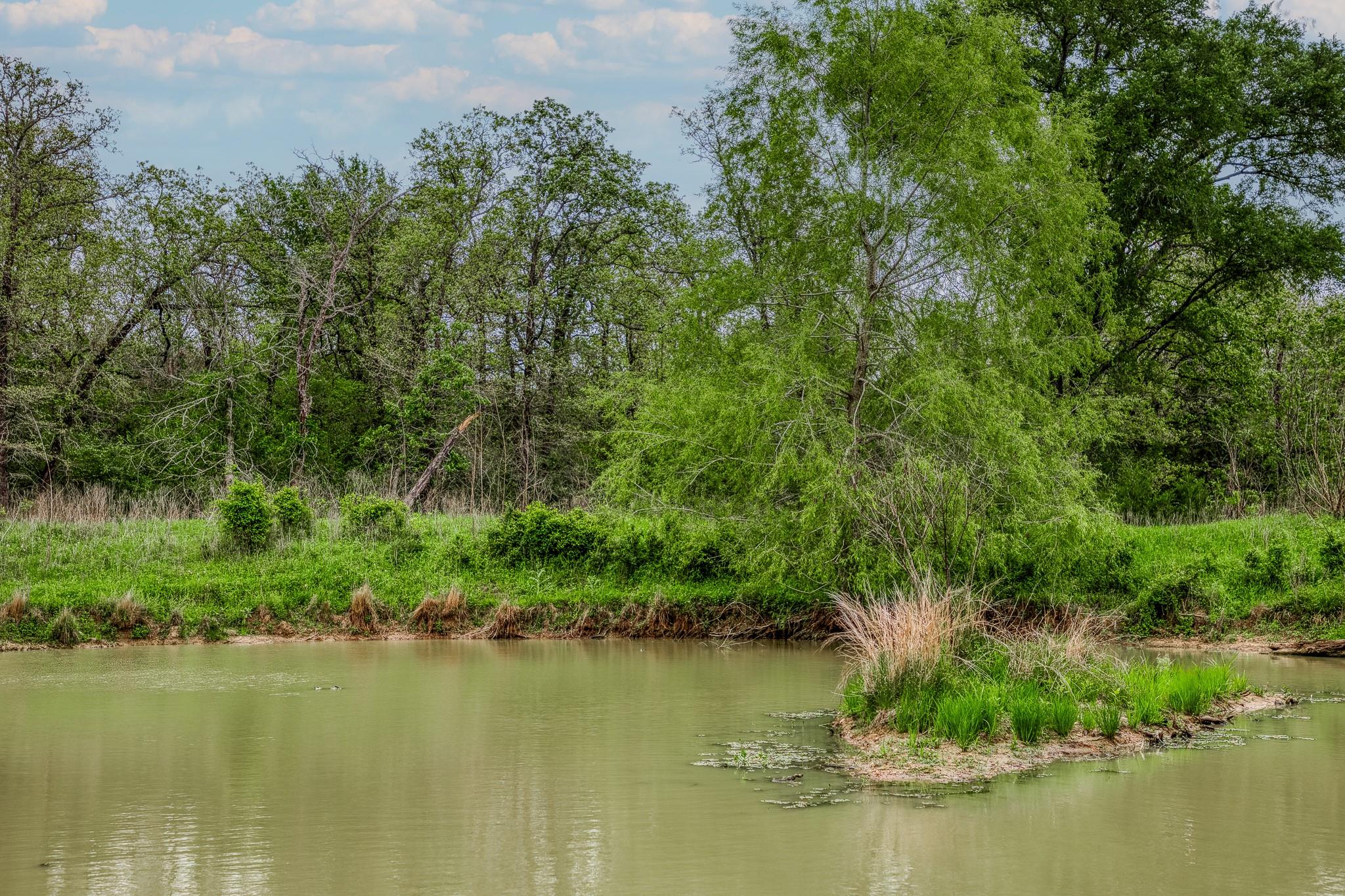 TBD (349.84 Acres) County Road 125, Ledbetter, TX 78946