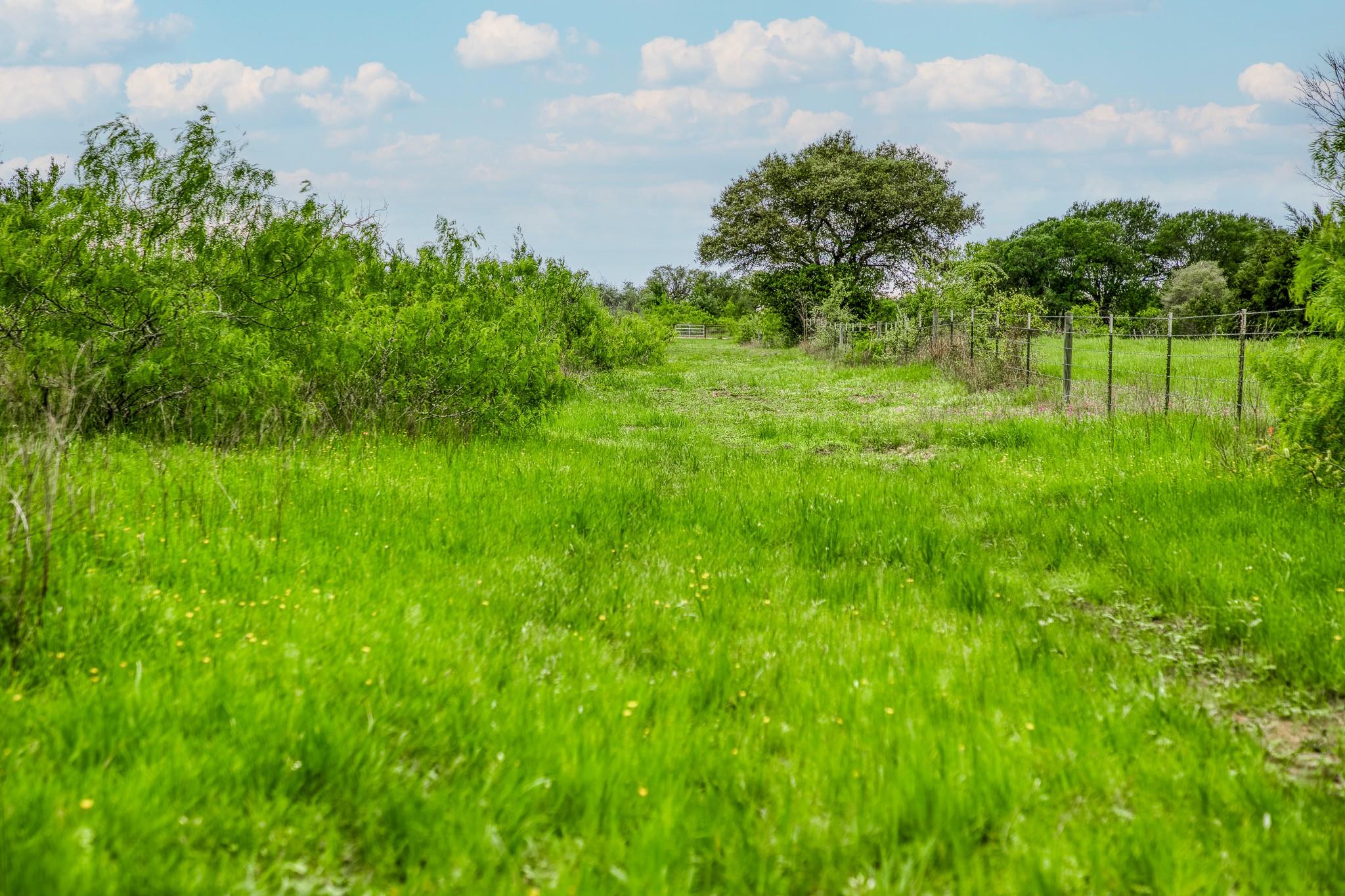 TBD (349.84 Acres) County Road 125, Ledbetter, TX 78946