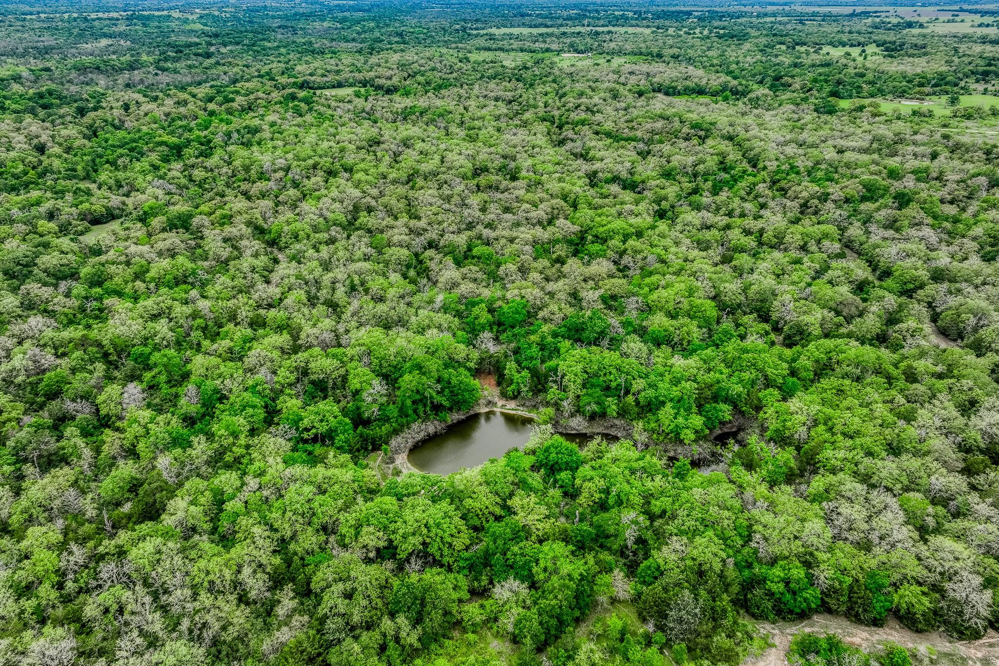 TBD (349.84 Acres) County Road 125, Ledbetter, TX 78946