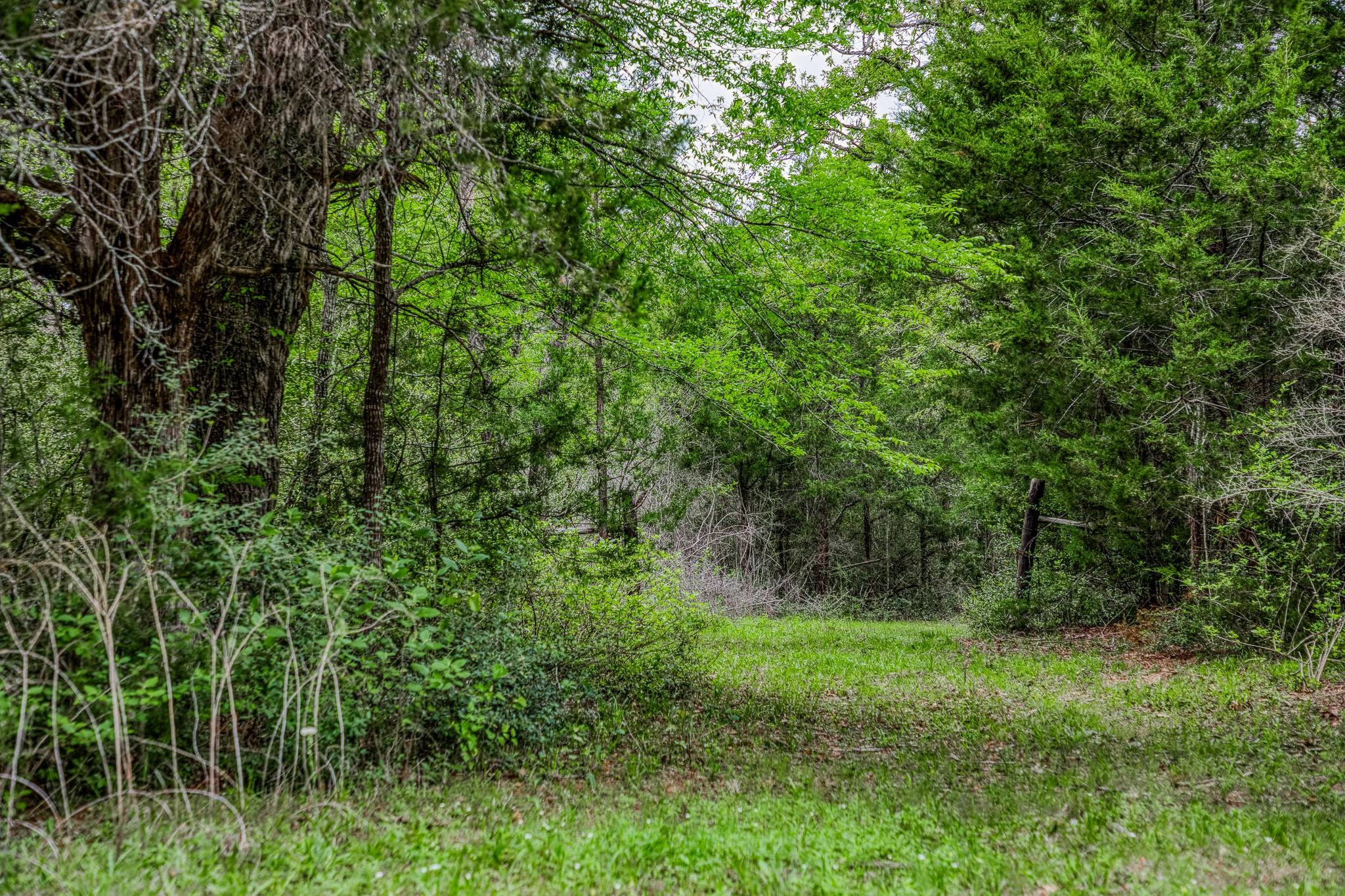 TBD (349.84 Acres) County Road 125, Ledbetter, TX 78946