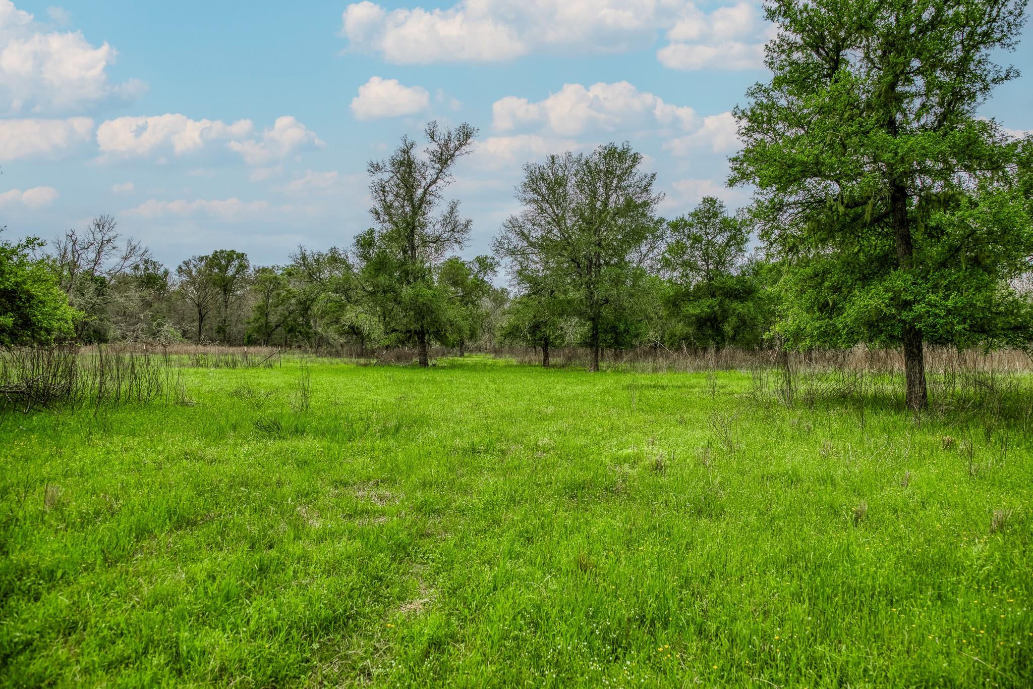 TBD (349.84 Acres) County Road 125, Ledbetter, TX 78946