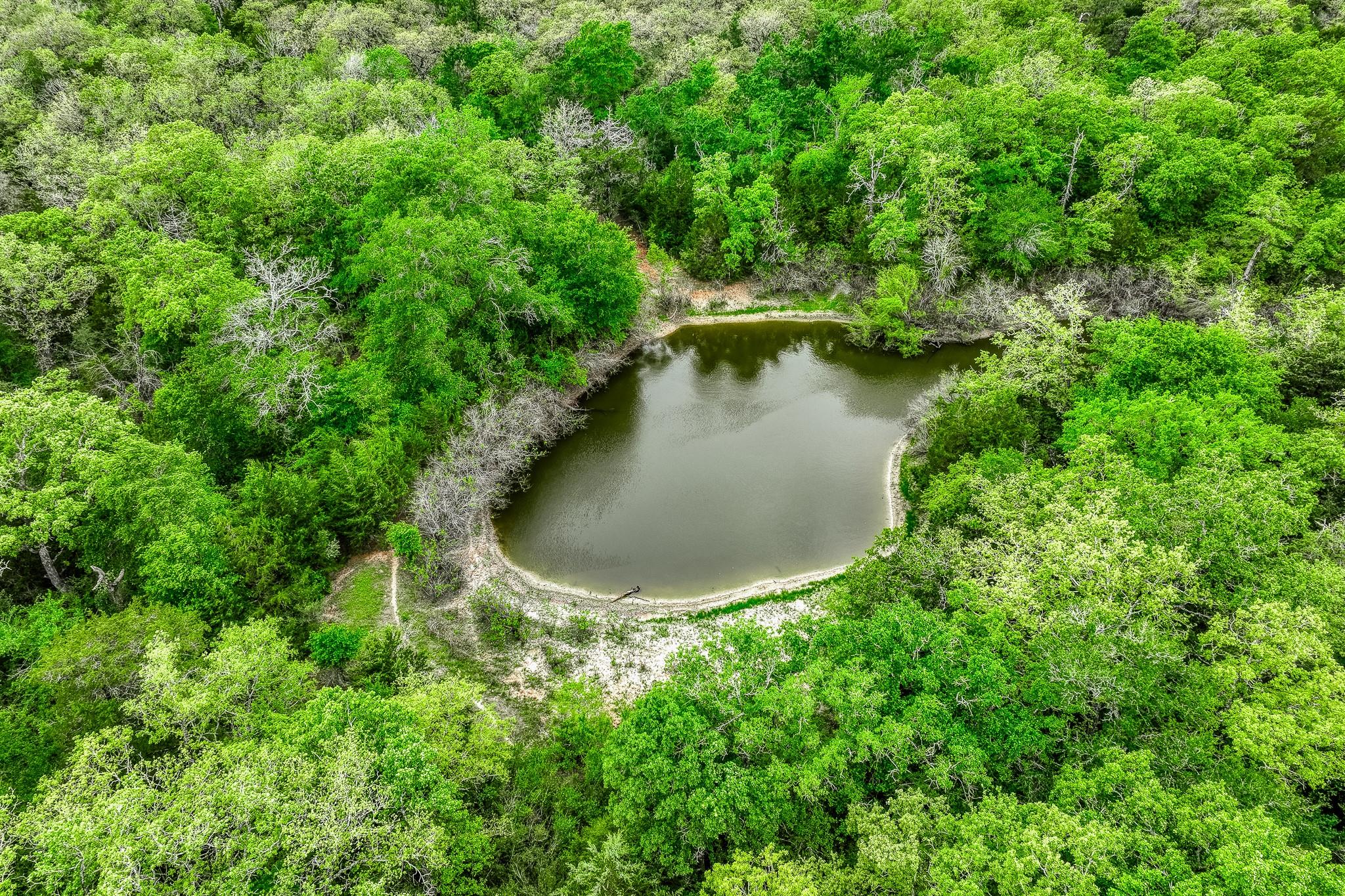 TBD (349.84 Acres) County Road 125, Ledbetter, TX 78946