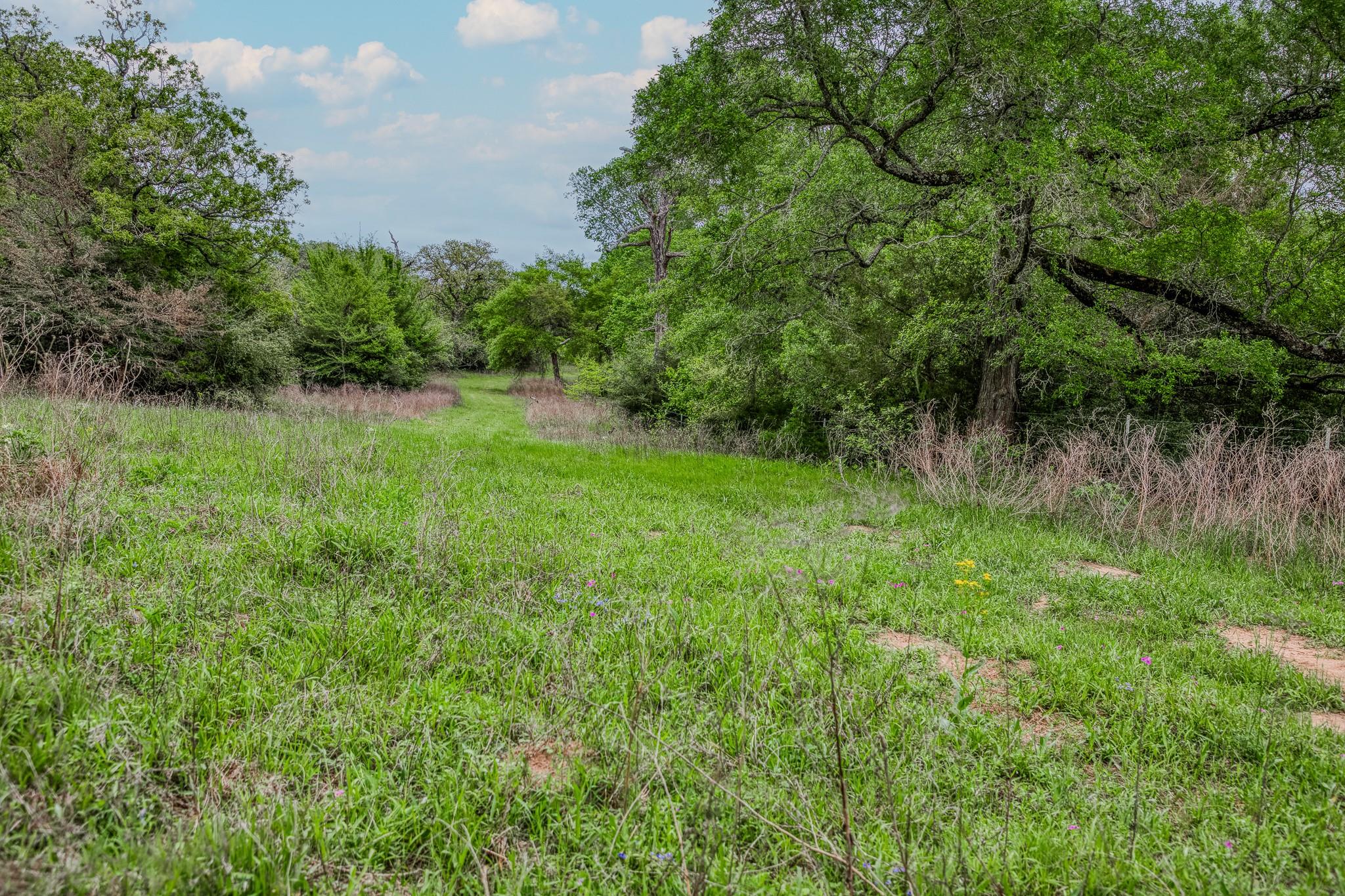 TBD (349.84 Acres) County Road 125, Ledbetter, TX 78946