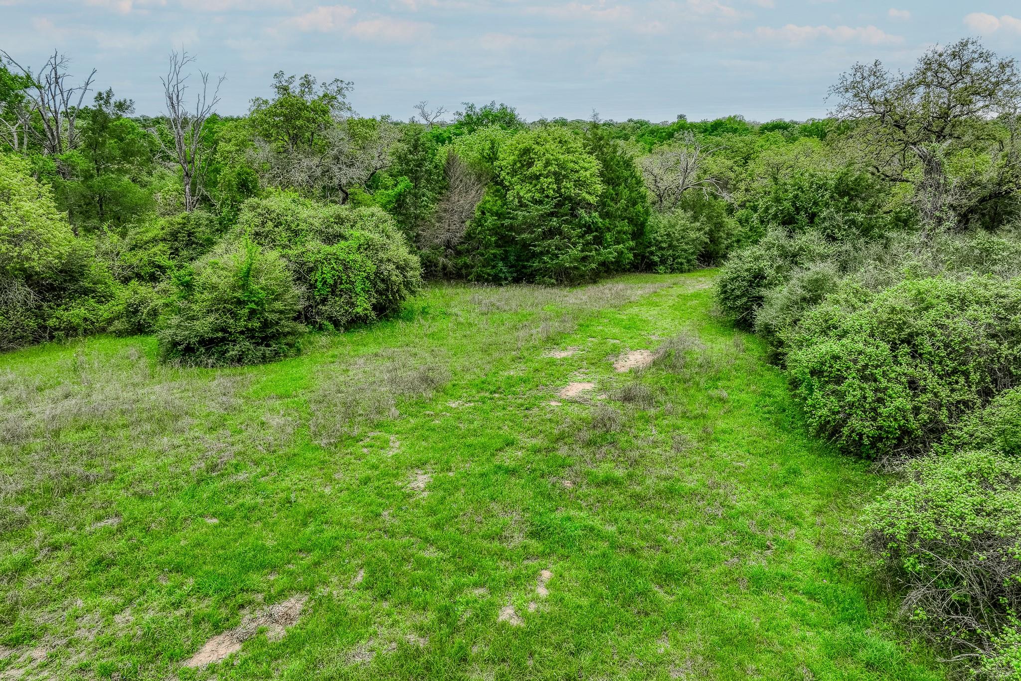 TBD (349.84 Acres) County Road 125, Ledbetter, TX 78946