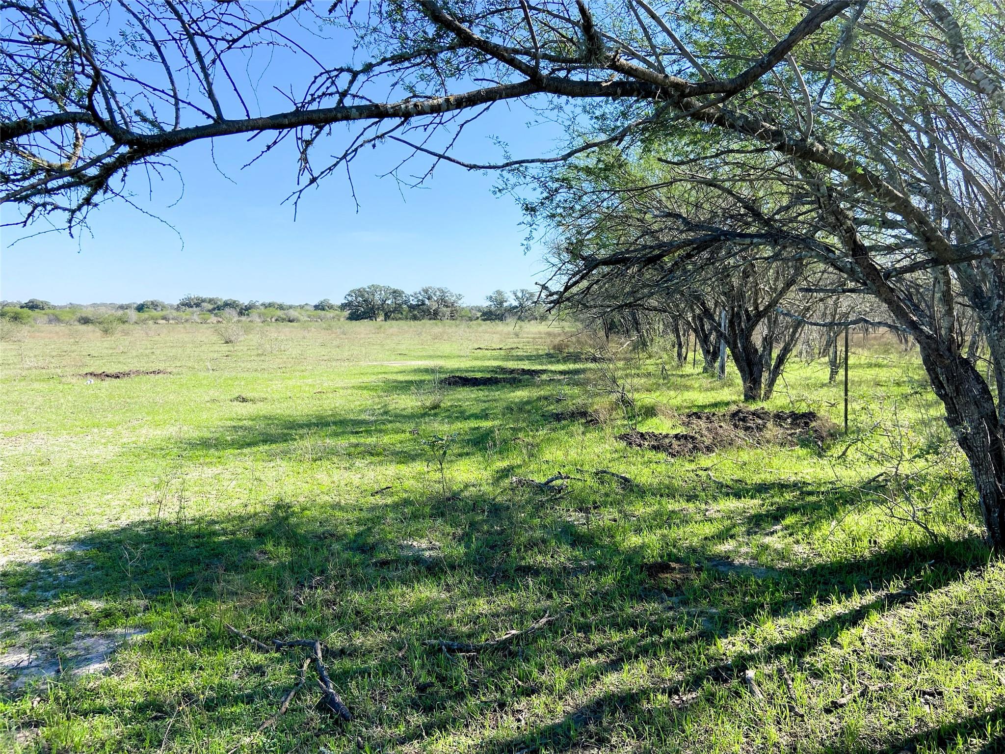 656 Deer Run Ln, Yorktown, TX 78164