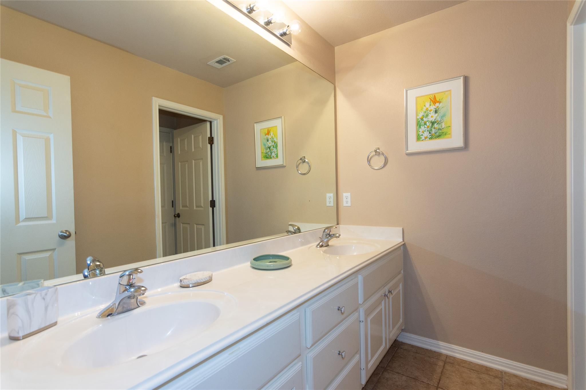 1598 Tahoka Daisy Dr, Cedar Park, TX 78613