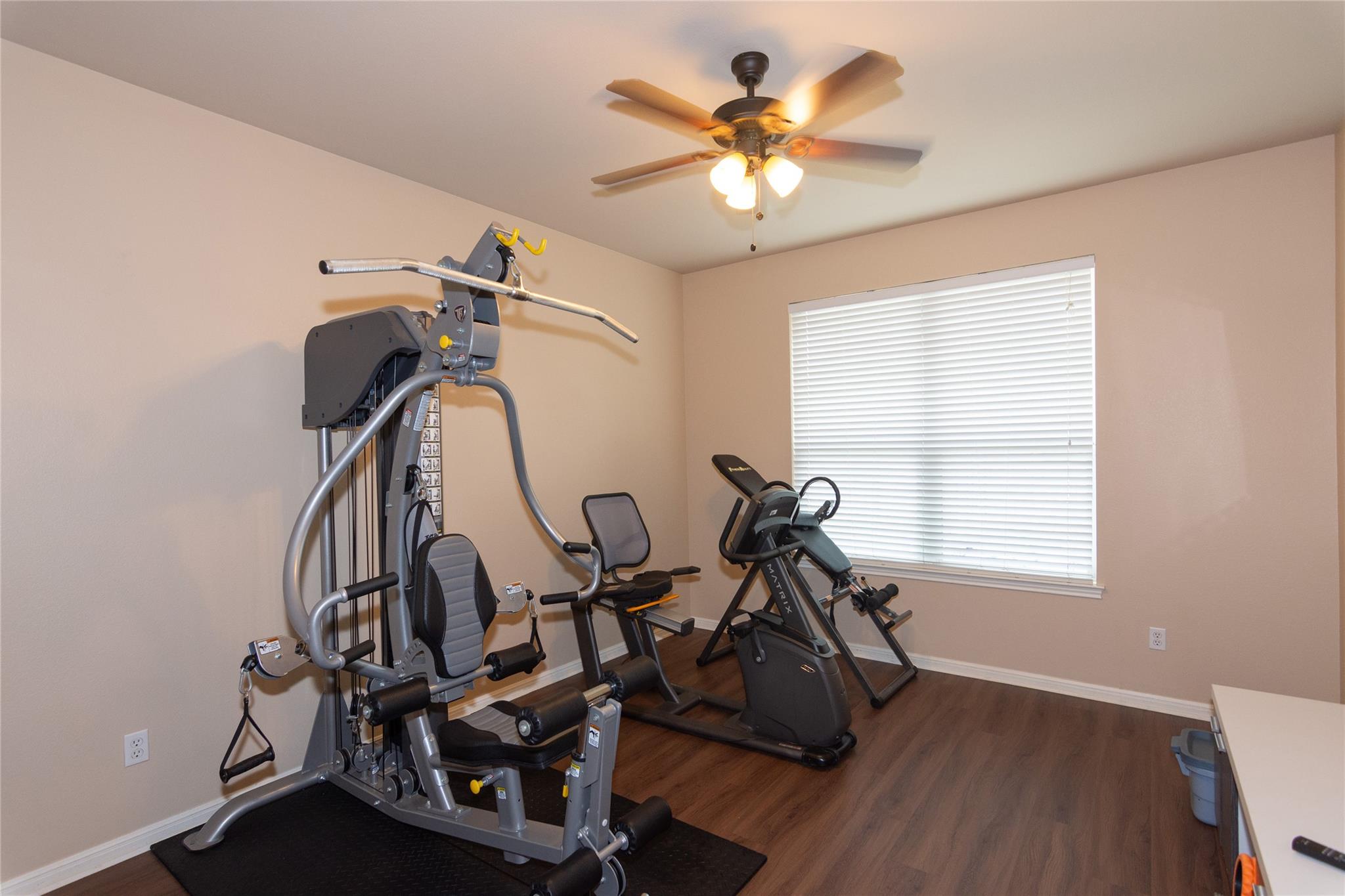 1598 Tahoka Daisy Dr, Cedar Park, TX 78613