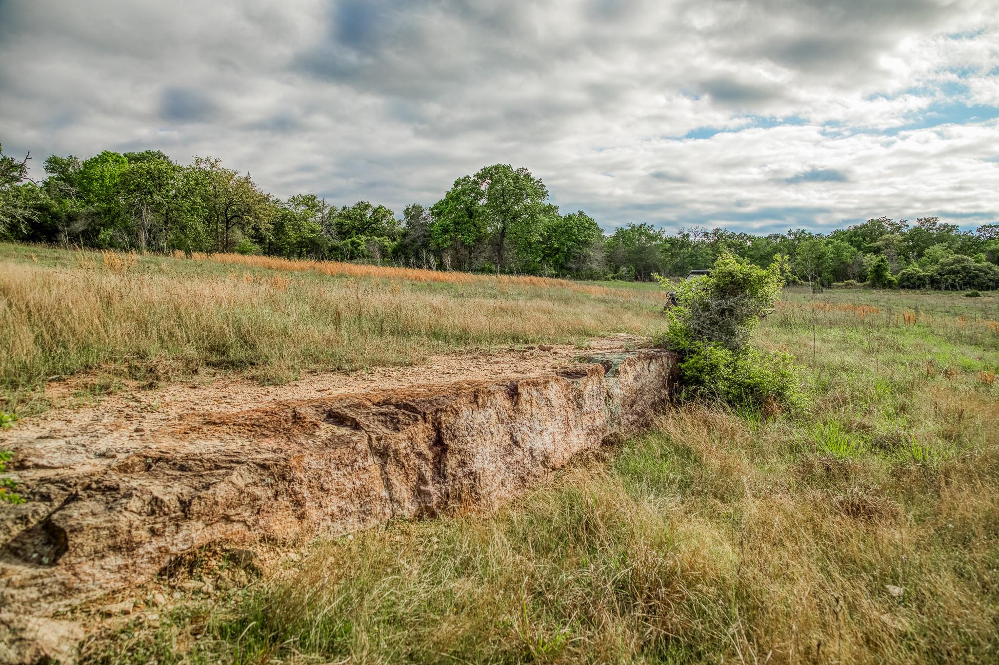 TBD (56.135 Acres) County Road 125, Ledbetter, TX 78946