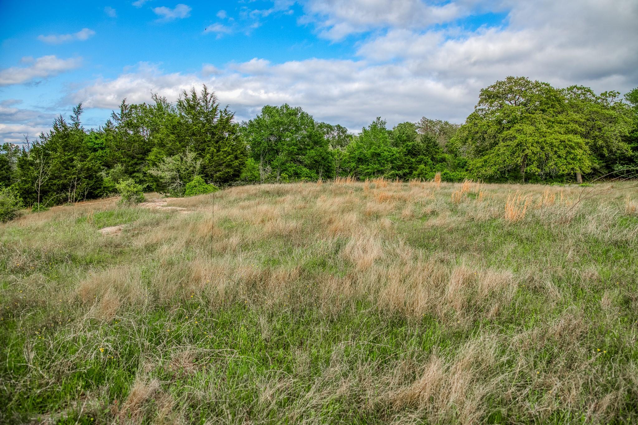 TBD (56.135 Acres) County Road 125, Ledbetter, TX 78946