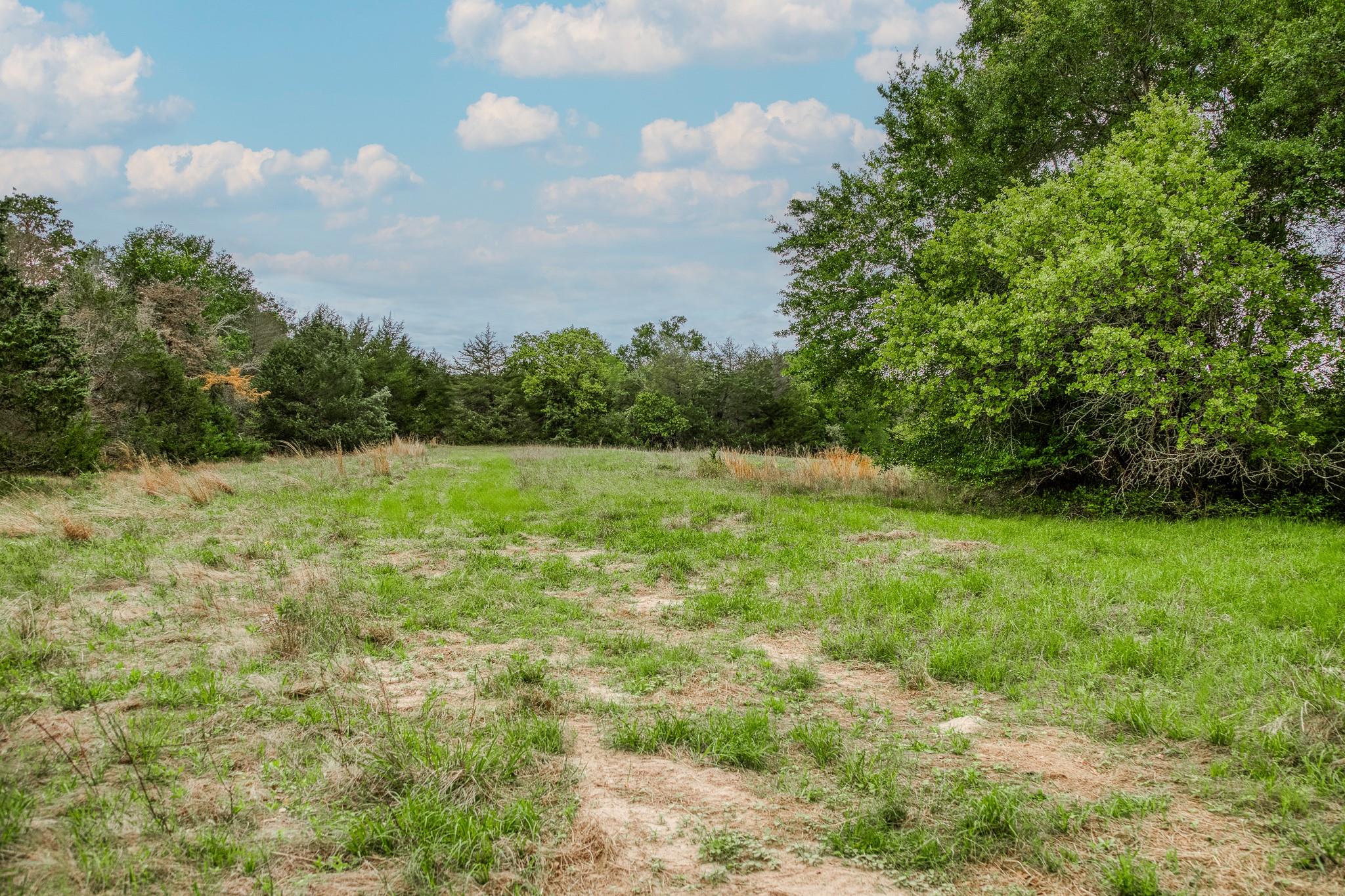 TBD (56.135 Acres) County Road 125, Ledbetter, TX 78946