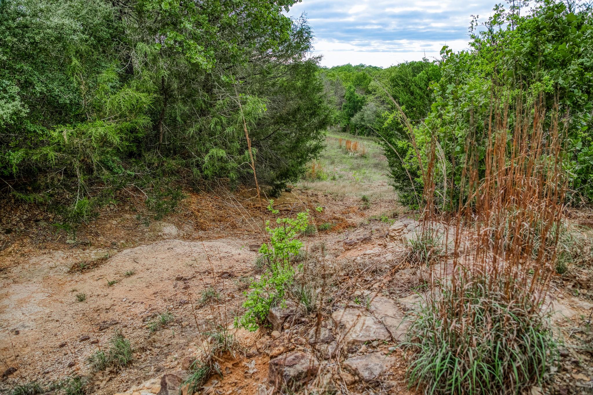 TBD (56.135 Acres) County Road 125, Ledbetter, TX 78946