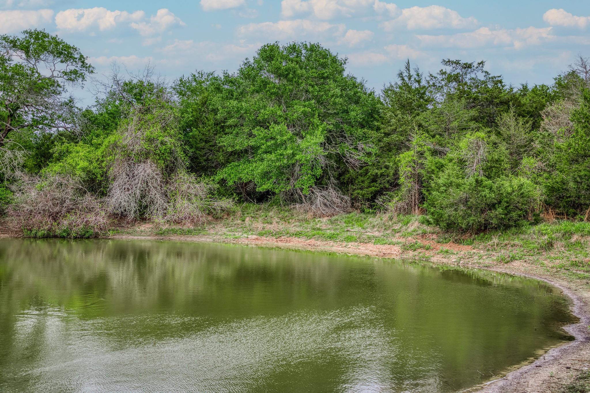 TBD (56.135 Acres) County Road 125, Ledbetter, TX 78946