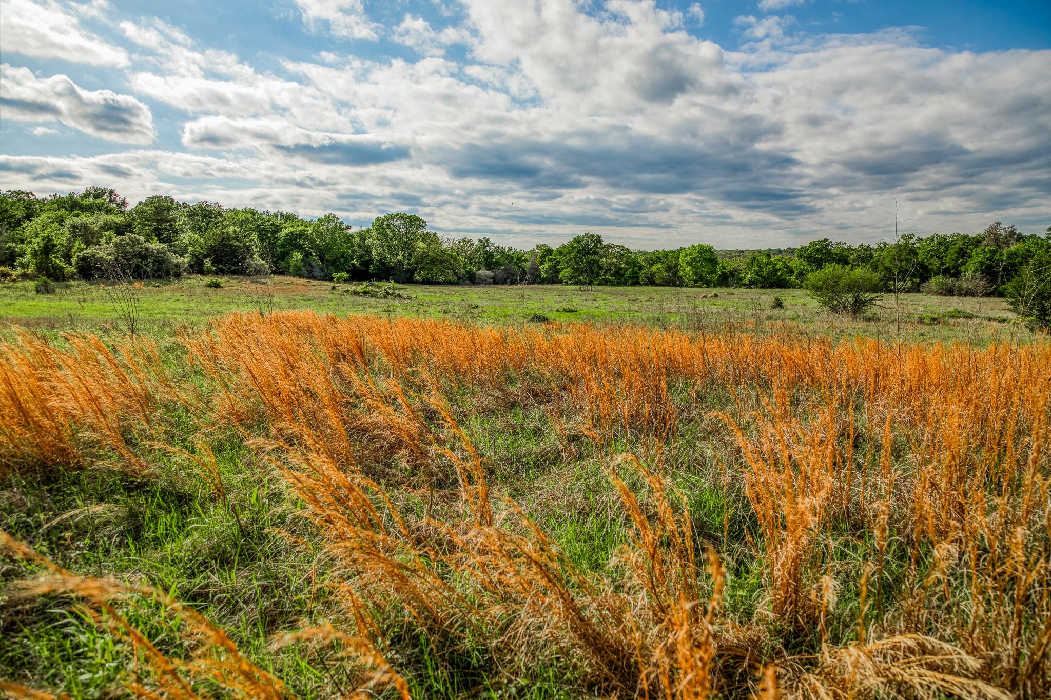 TBD (56.135 Acres) County Road 125, Ledbetter, TX 78946