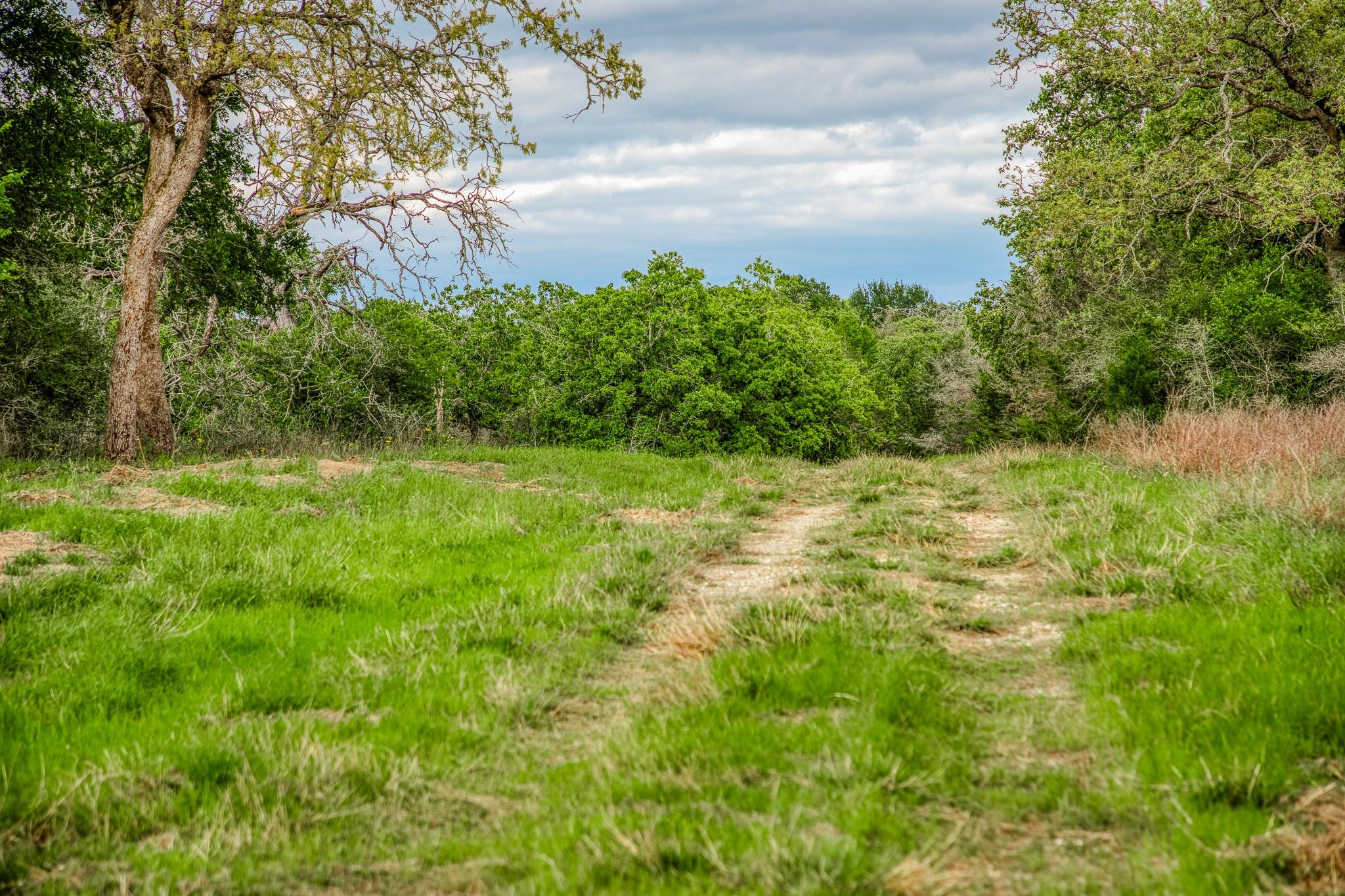 TBD (56.135 Acres) County Road 125, Ledbetter, TX 78946